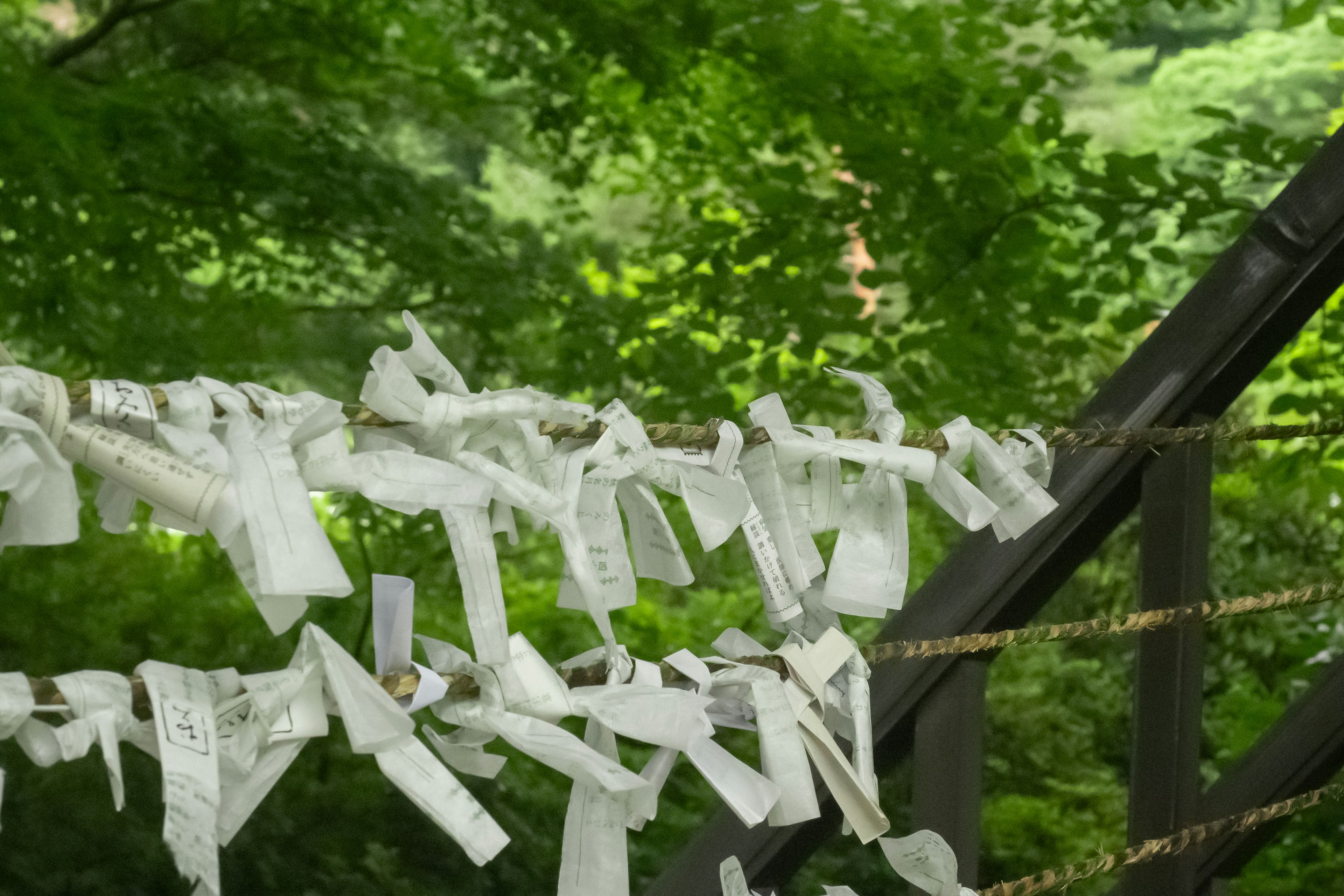 A scene featuring white paper strips hanging against a green background