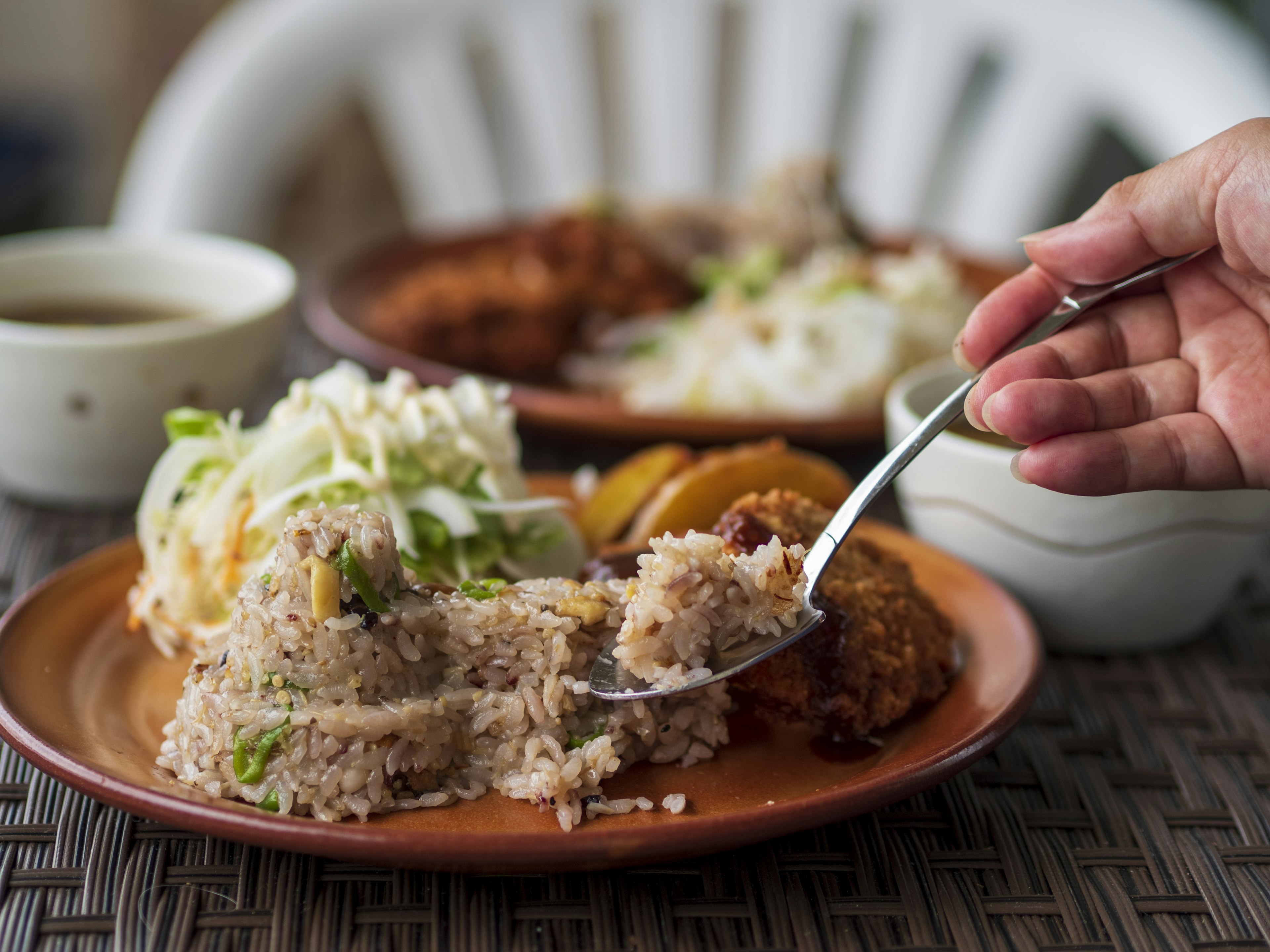 A hand serving rice with side dishes on a plate