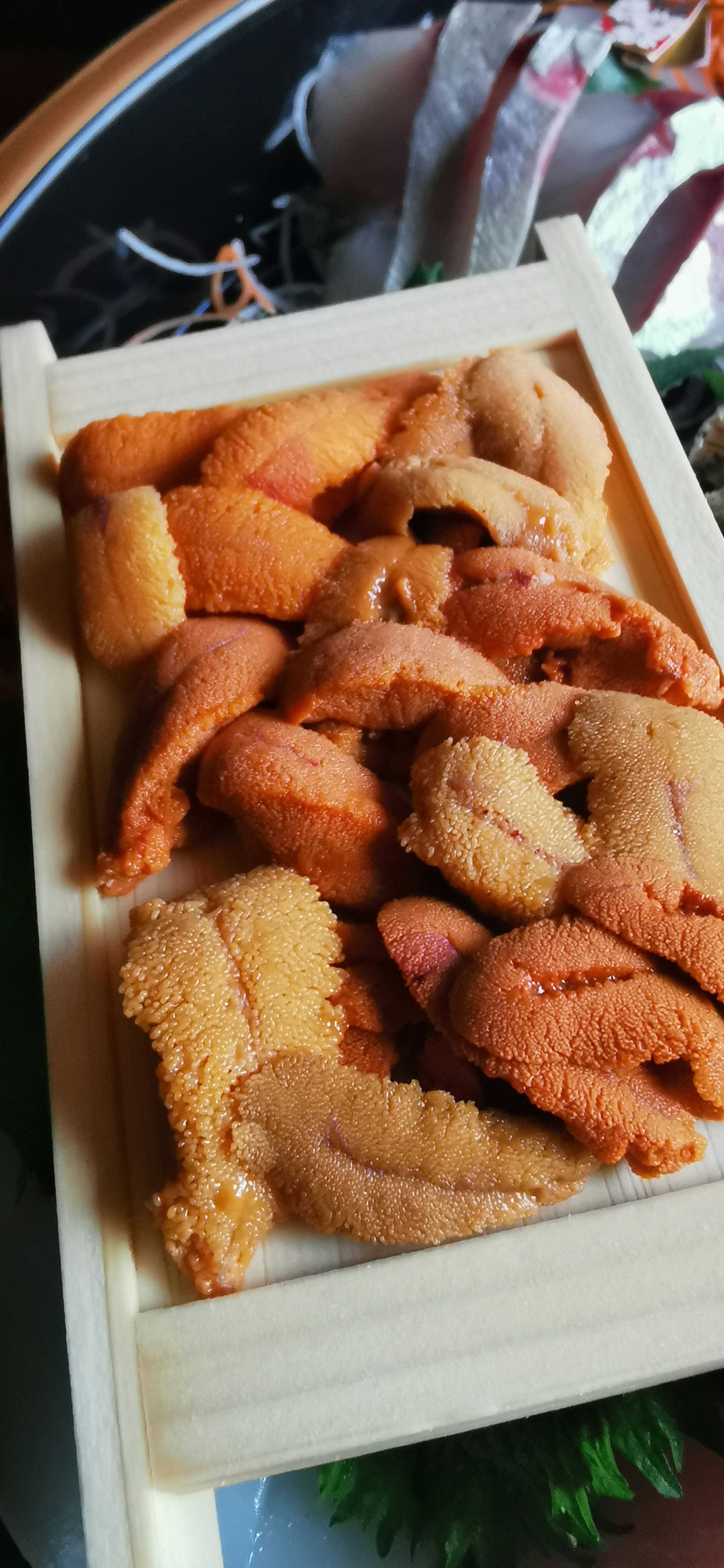 Assorted fresh sea urchin presented in a wooden box