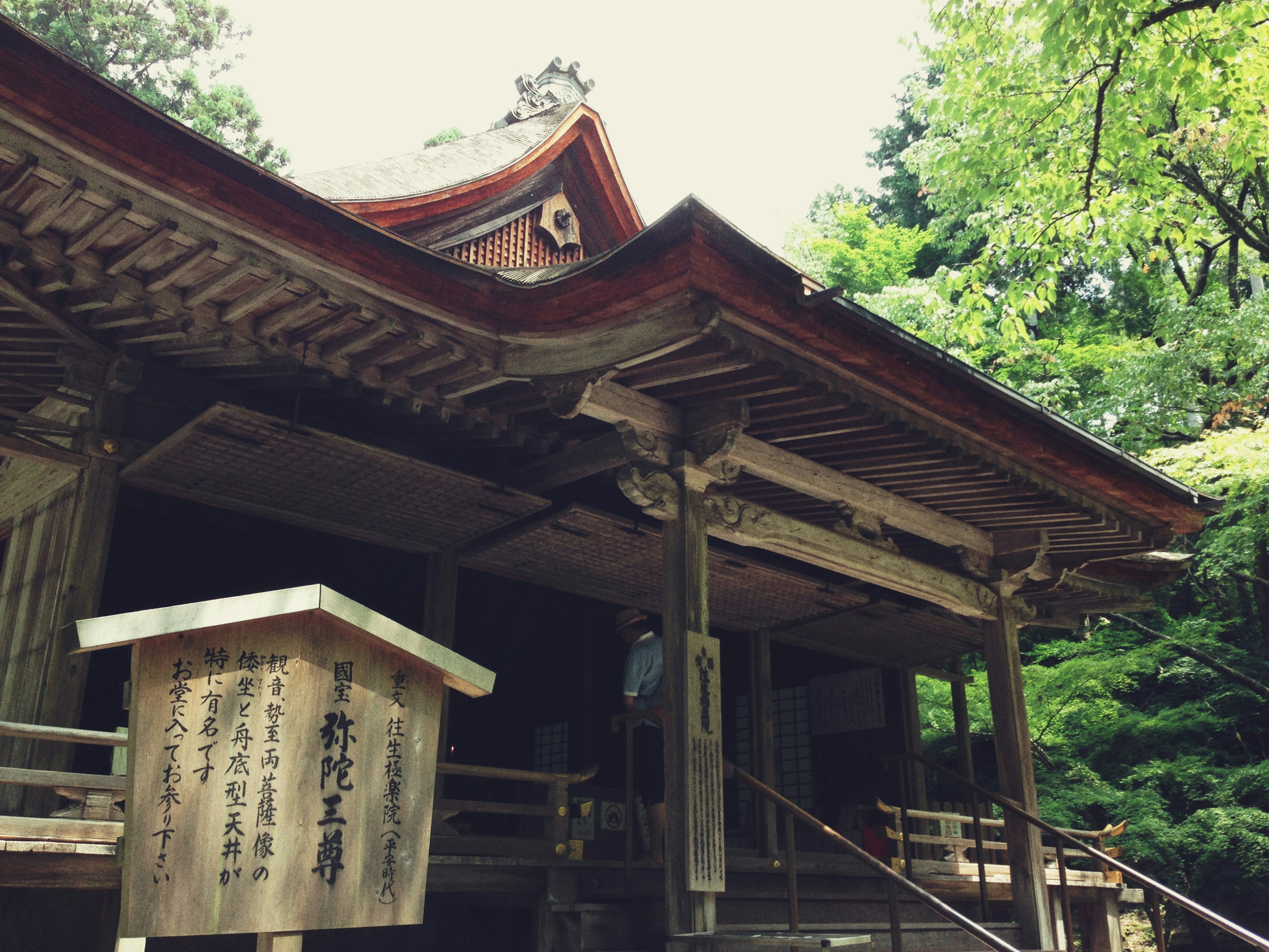 古老的神社建築被郁郁蔥蔥的綠樹環繞