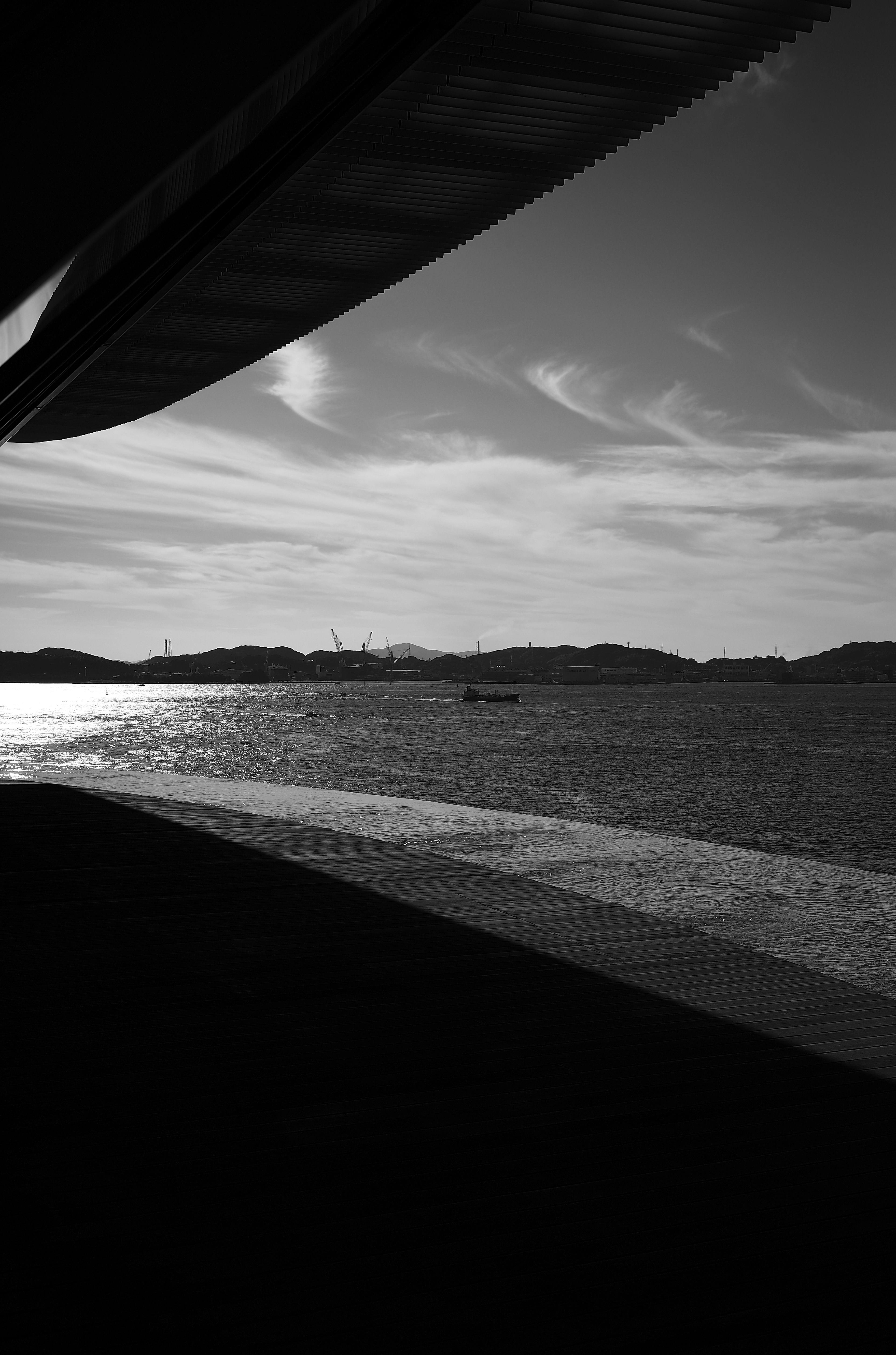 Schwarz-Weiß-Landschaft mit Meer und Bergen