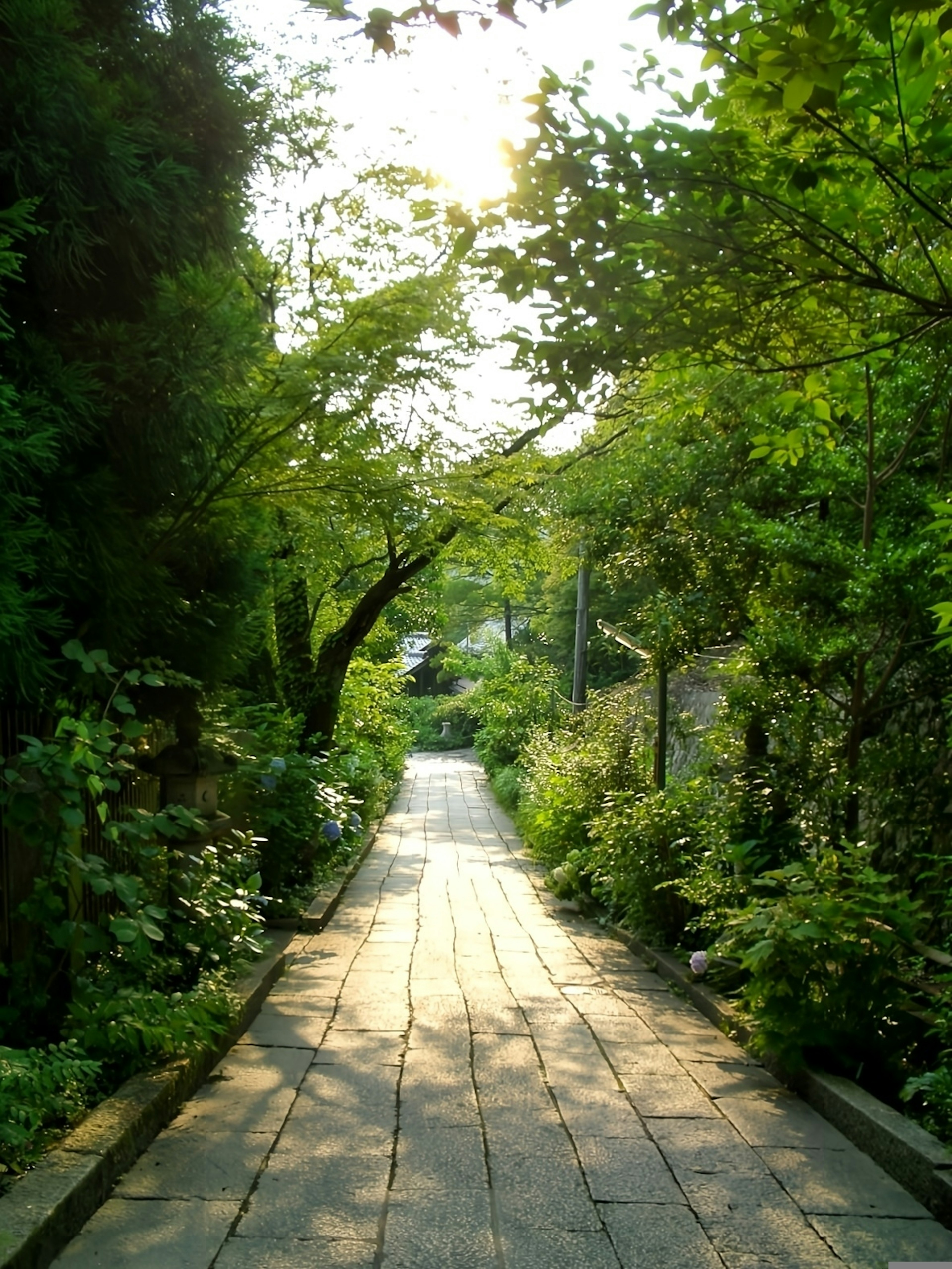 Lush garden path surrounded by greenery and sunlight