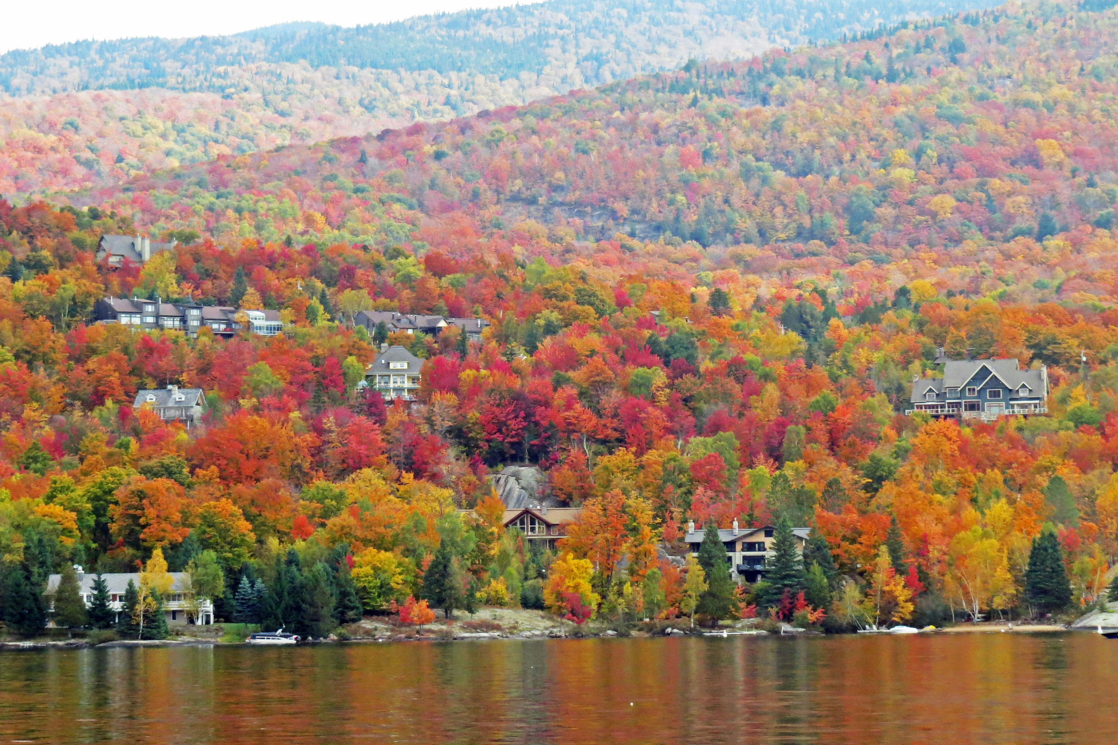 Scenic view of a lake surrounded by vibrant autumn foliage and mountains