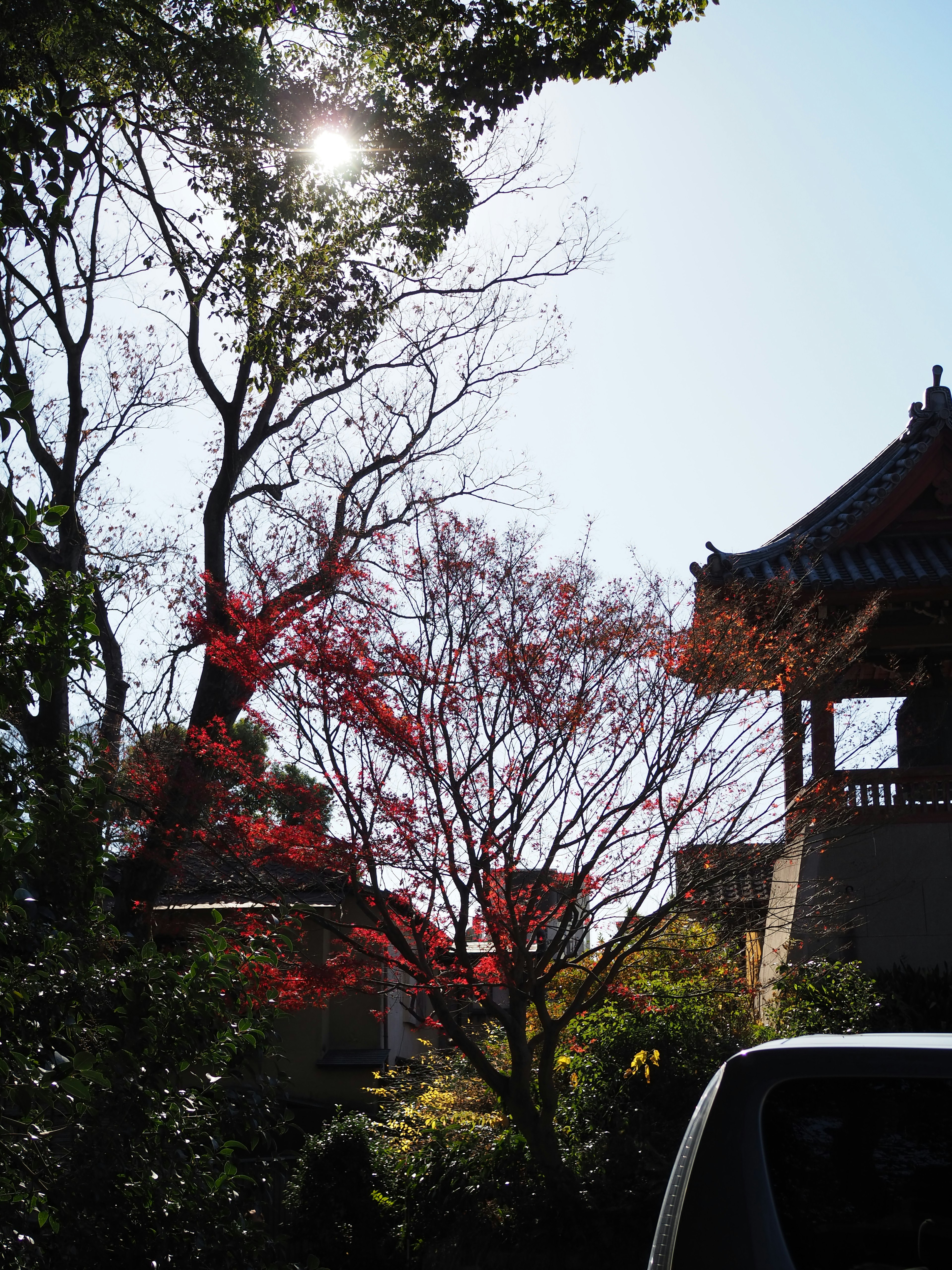 Silhouette d'un bâtiment avec un feuillage d'automne vibrant sous un ciel bleu clair