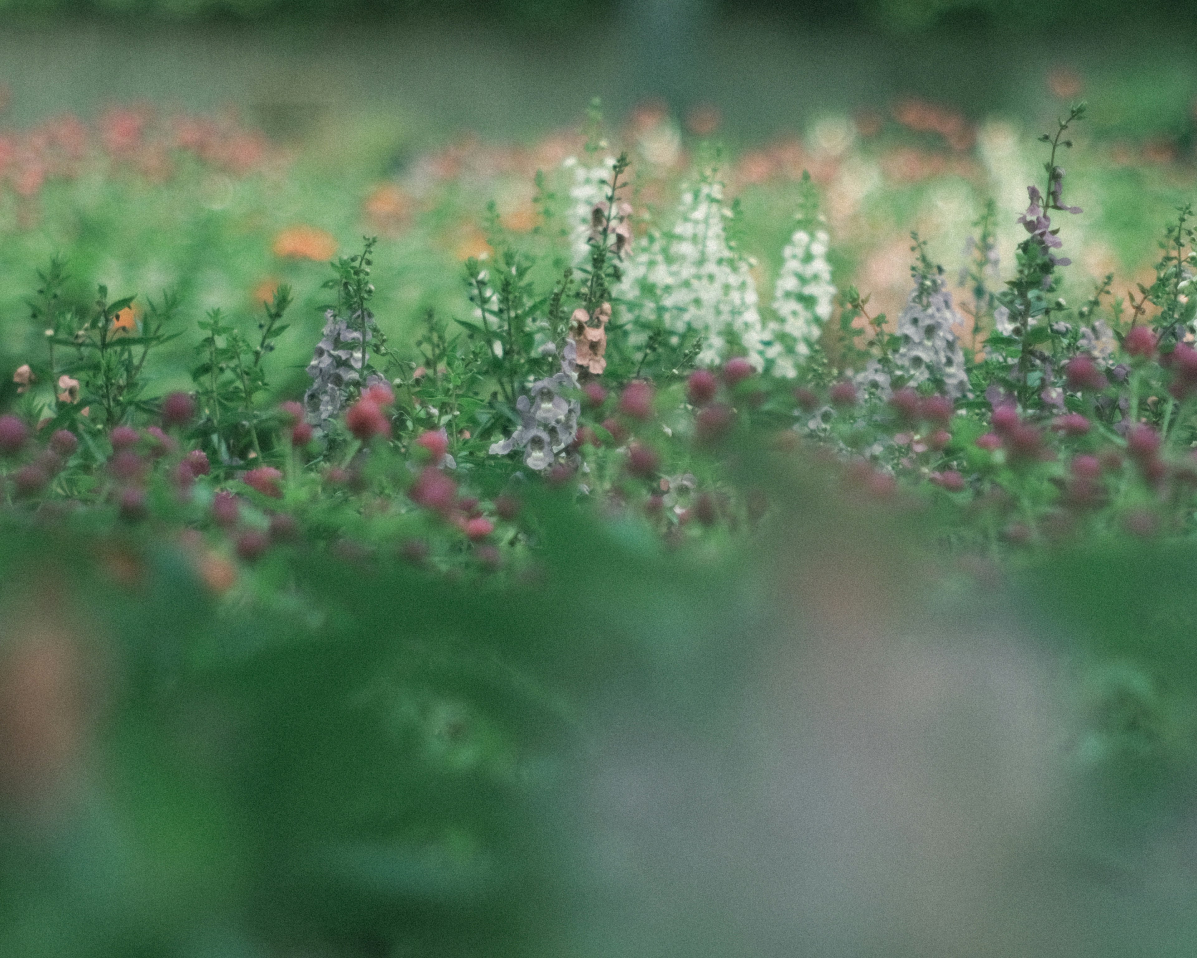 色とりどりの花が咲き誇る緑の野原の風景