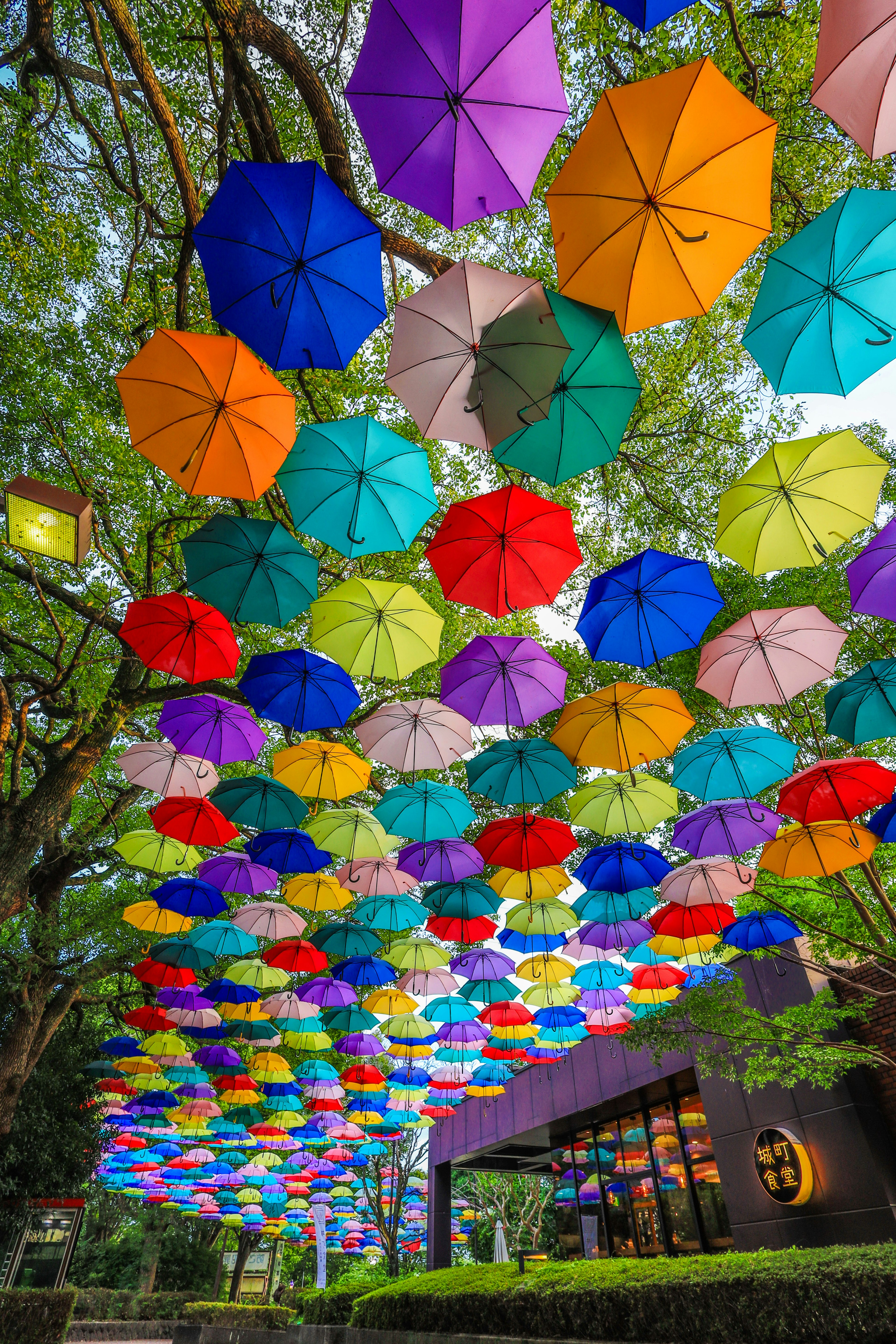 Bunte Regenschirme hängen unter Bäumen in einer lebhaften Ausstellung