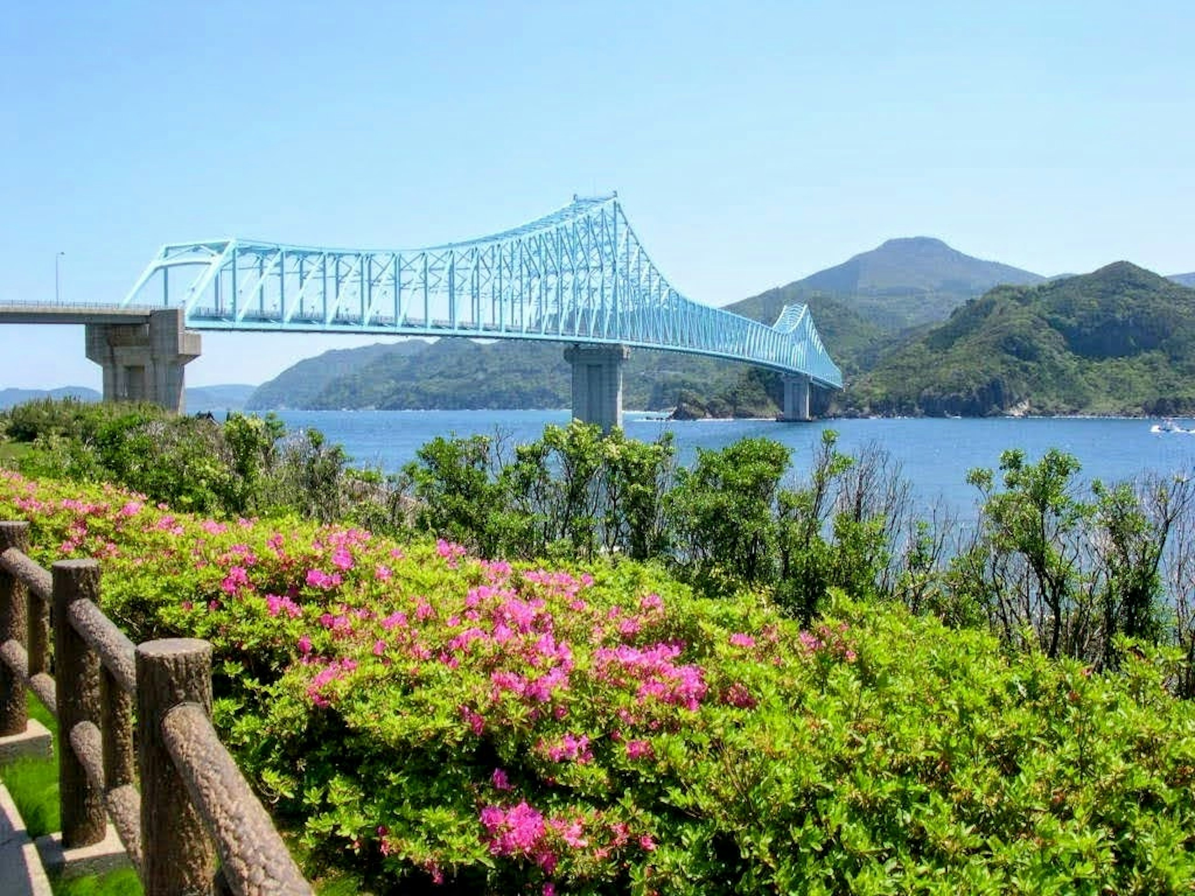 青い橋と海の風景に咲くピンクの花々