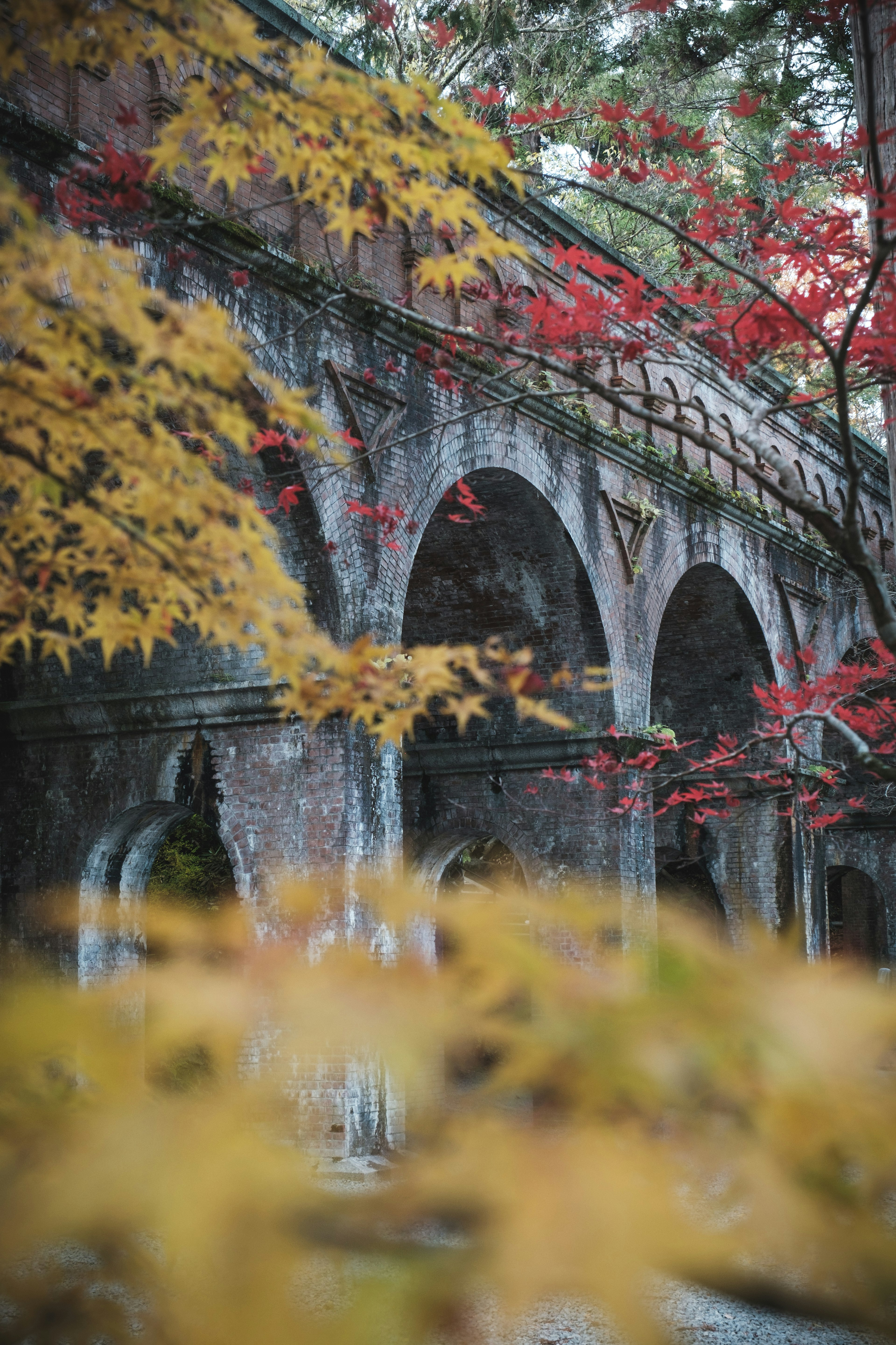 Vista escénica de un viejo puente arqueado rodeado de hojas de otoño coloridas