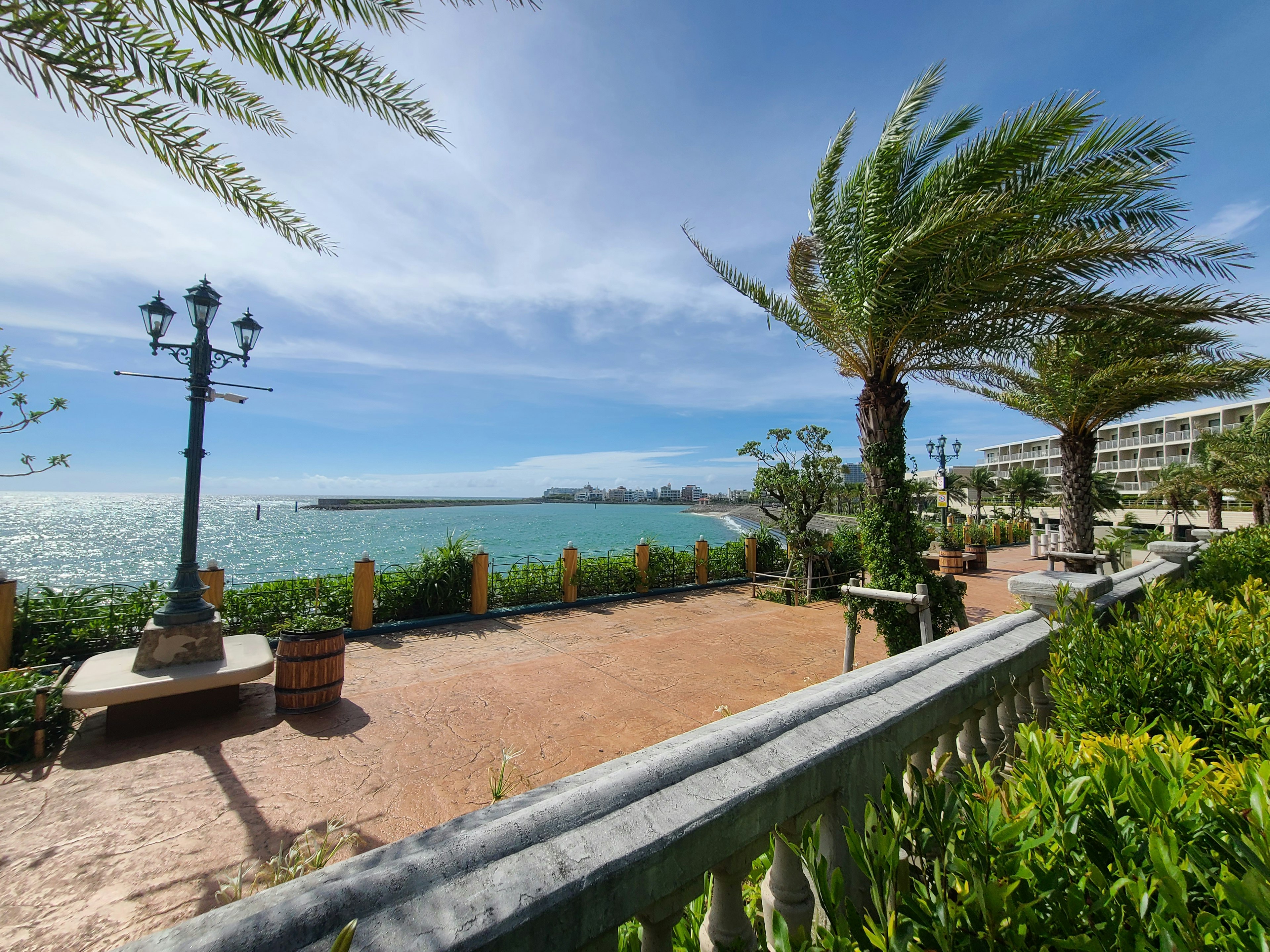 Scenic view of a coastal park featuring palm trees and stone benches