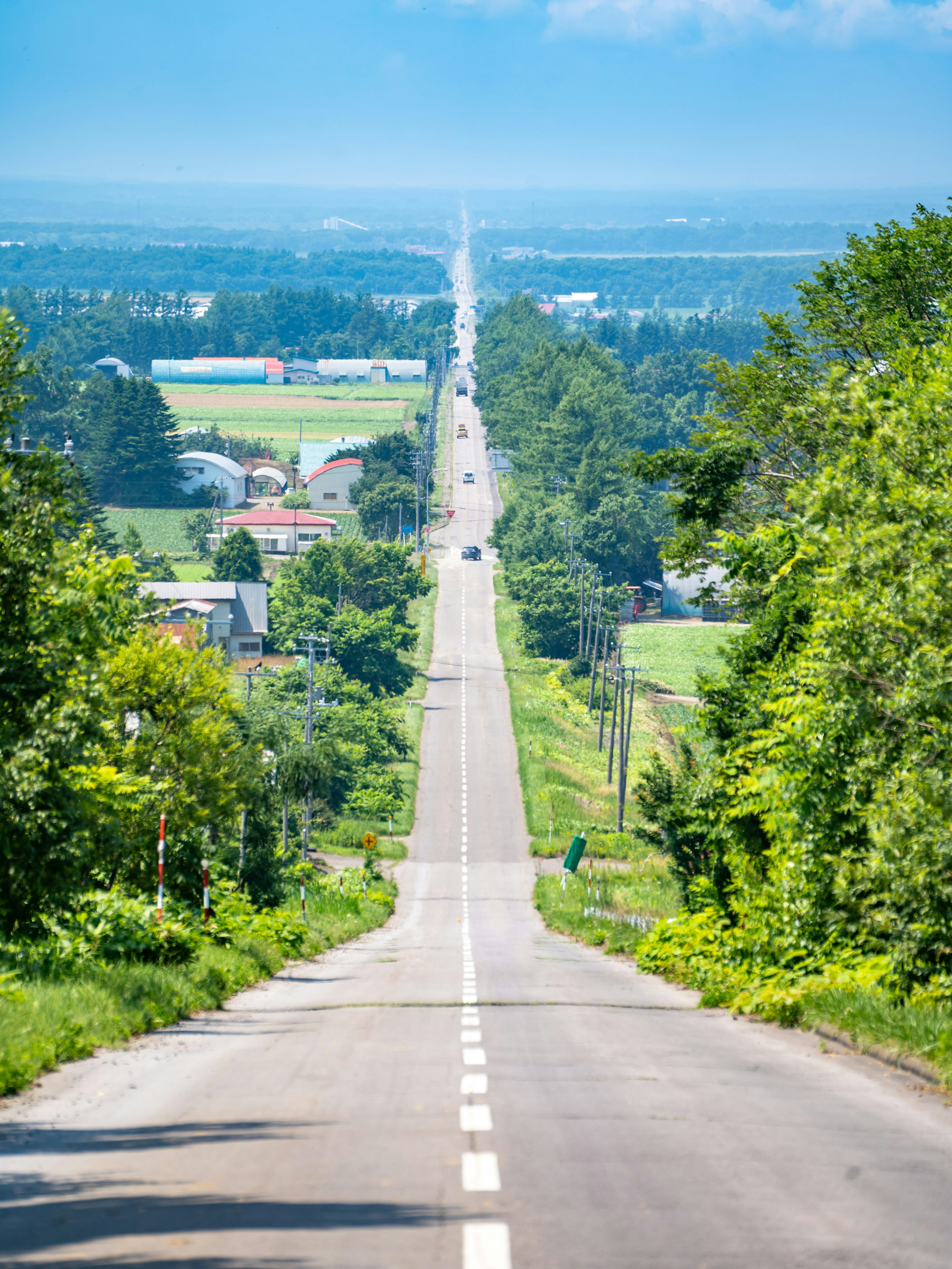 緑に囲まれた長い道路の風景が広がる