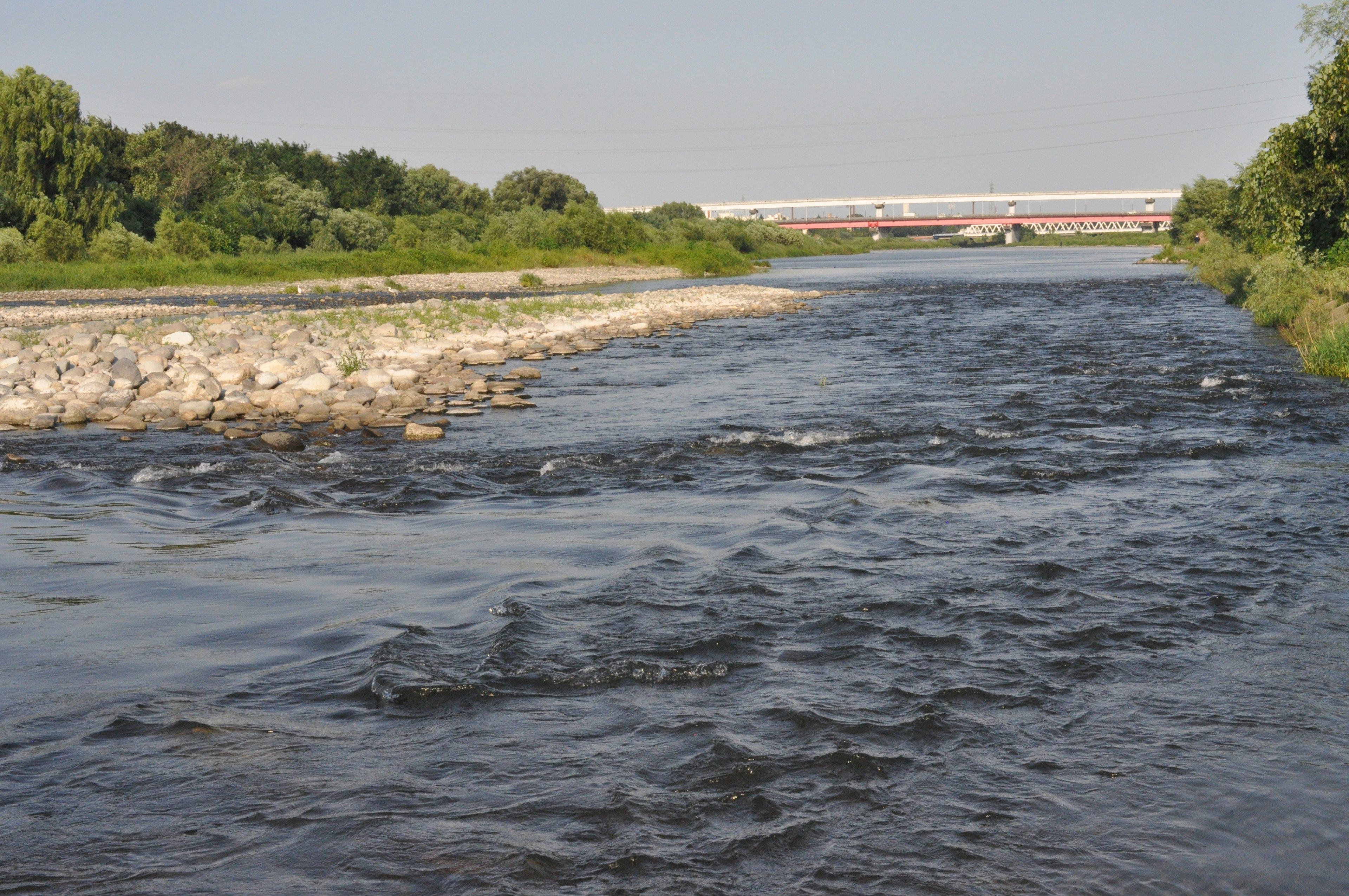 Calm river flowing with green banks and pebbly shore