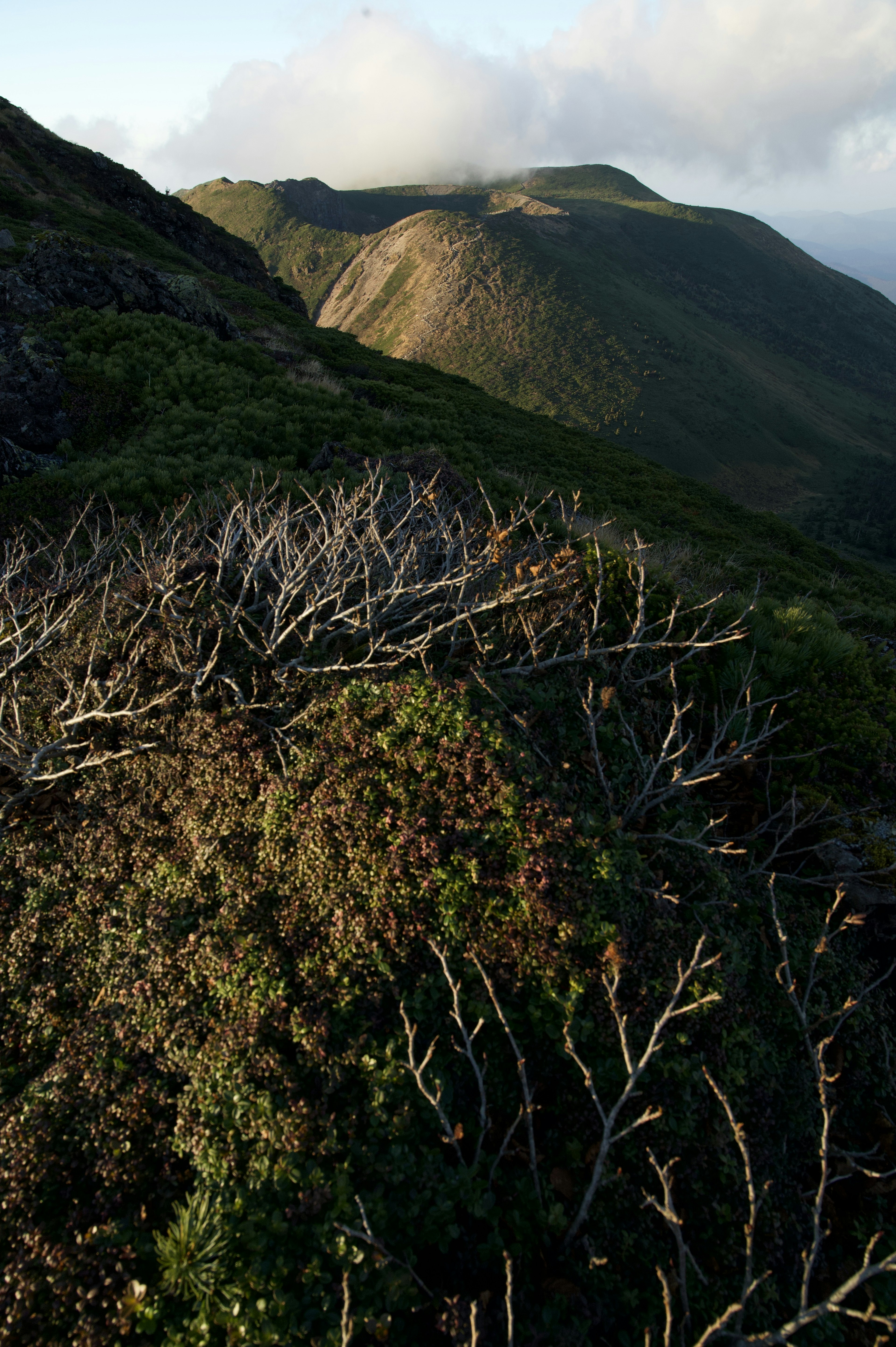 Malersicher Blick auf Bergkämme und trockene Bäume, die natürliche Schönheit zeigen