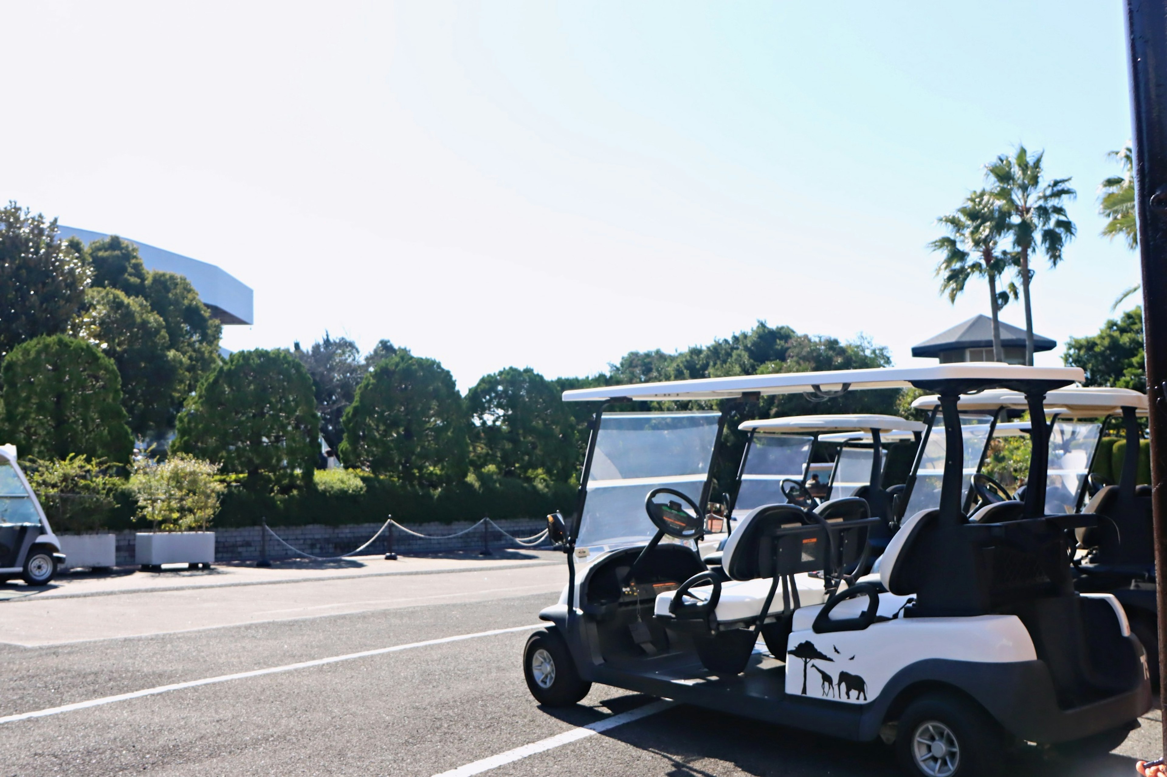 Golf carts parked in a lot with clear blue sky and greenery