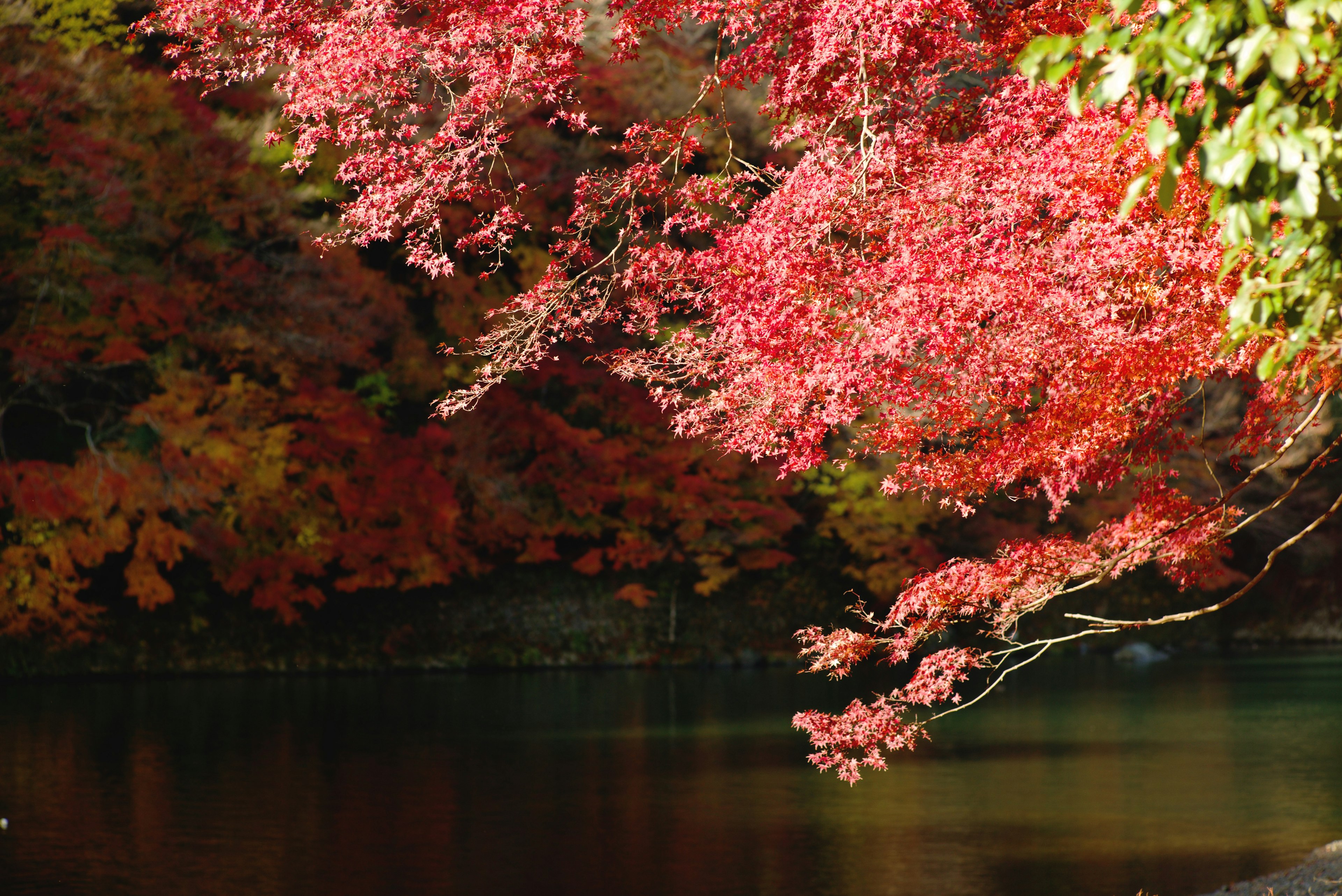 Scenic view of vibrant autumn foliage reflected in a calm lake