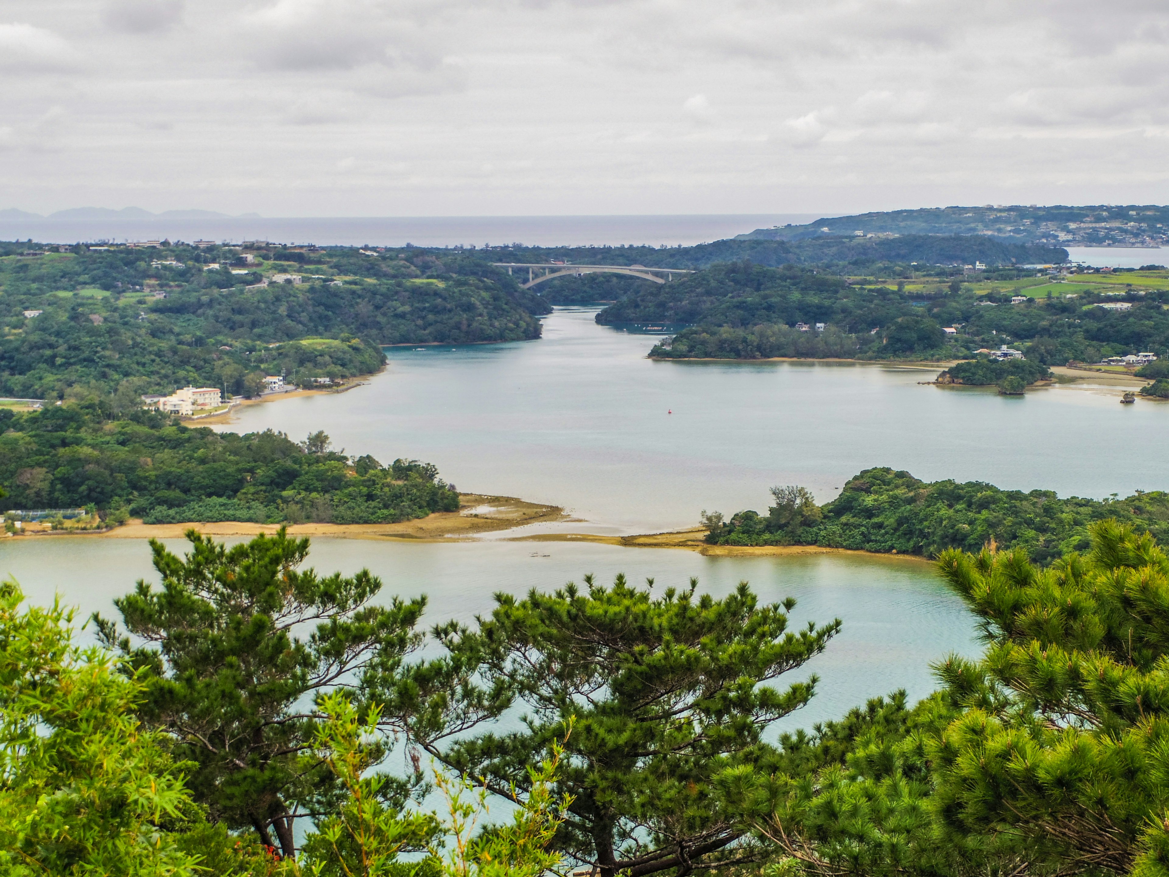 Vista escénica de un lago rodeado de vegetación exuberante