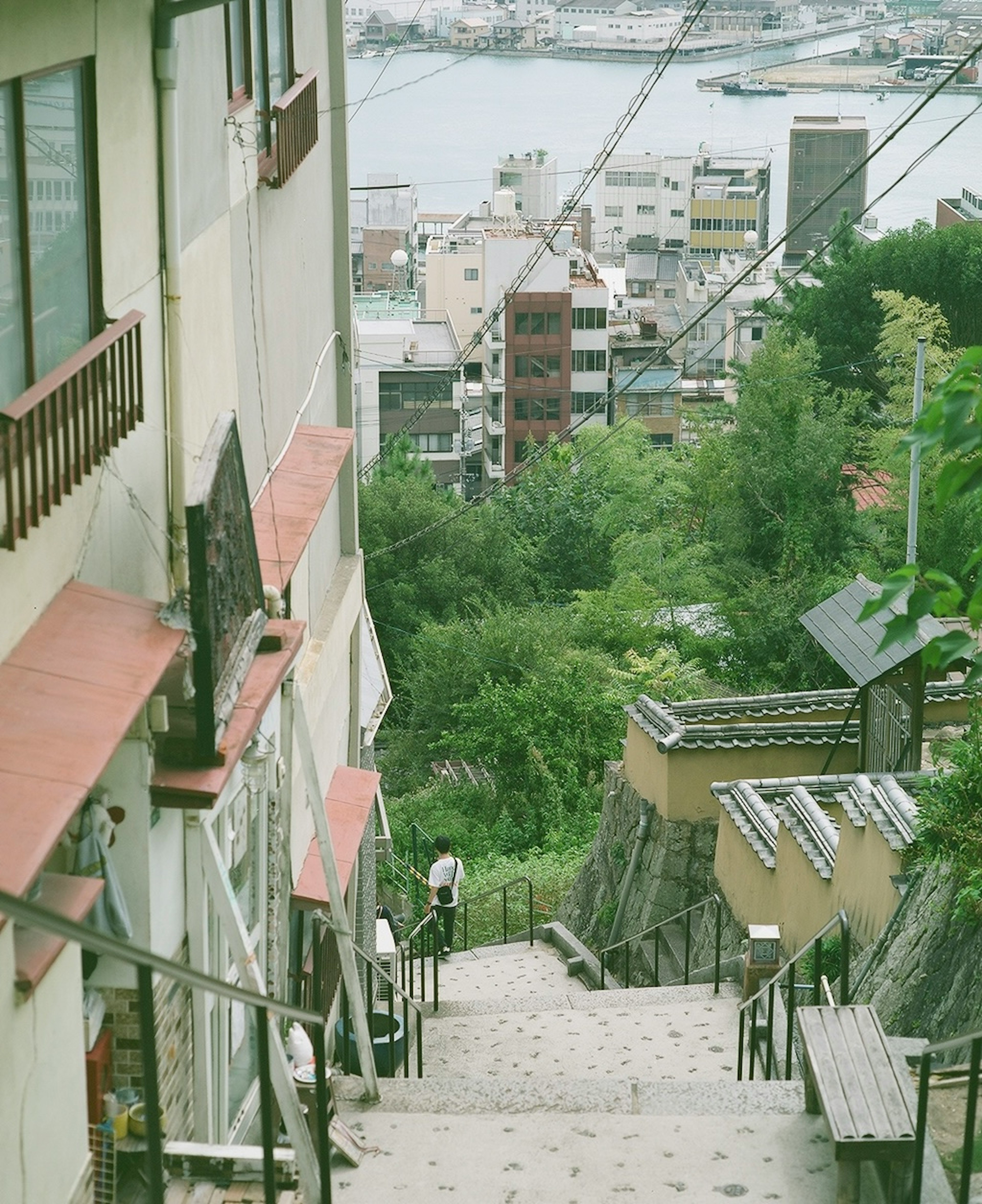 丘の階段を下る人々と緑の風景が広がる町の景色