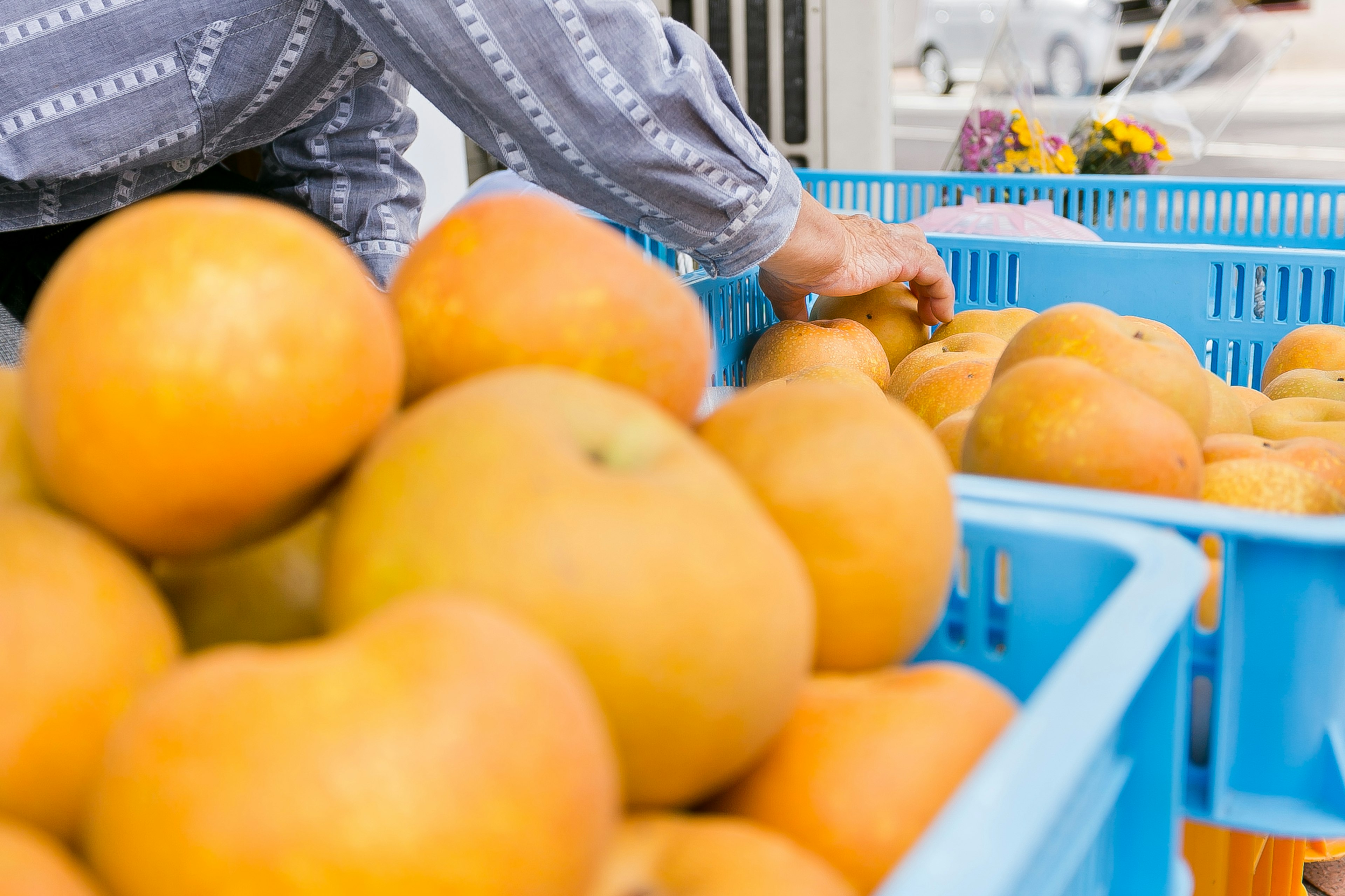 Hand greift nach orangen Äpfeln in blauen Körben