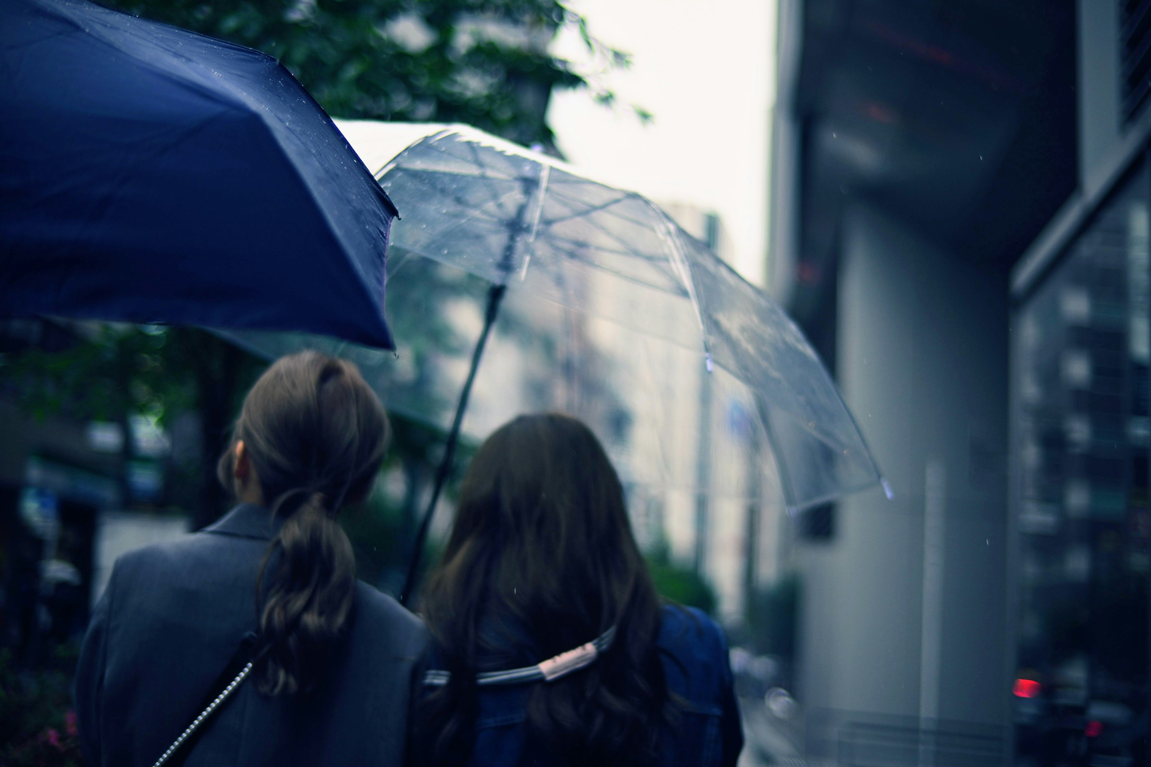 Two women walking in the rain with umbrellas urban setting