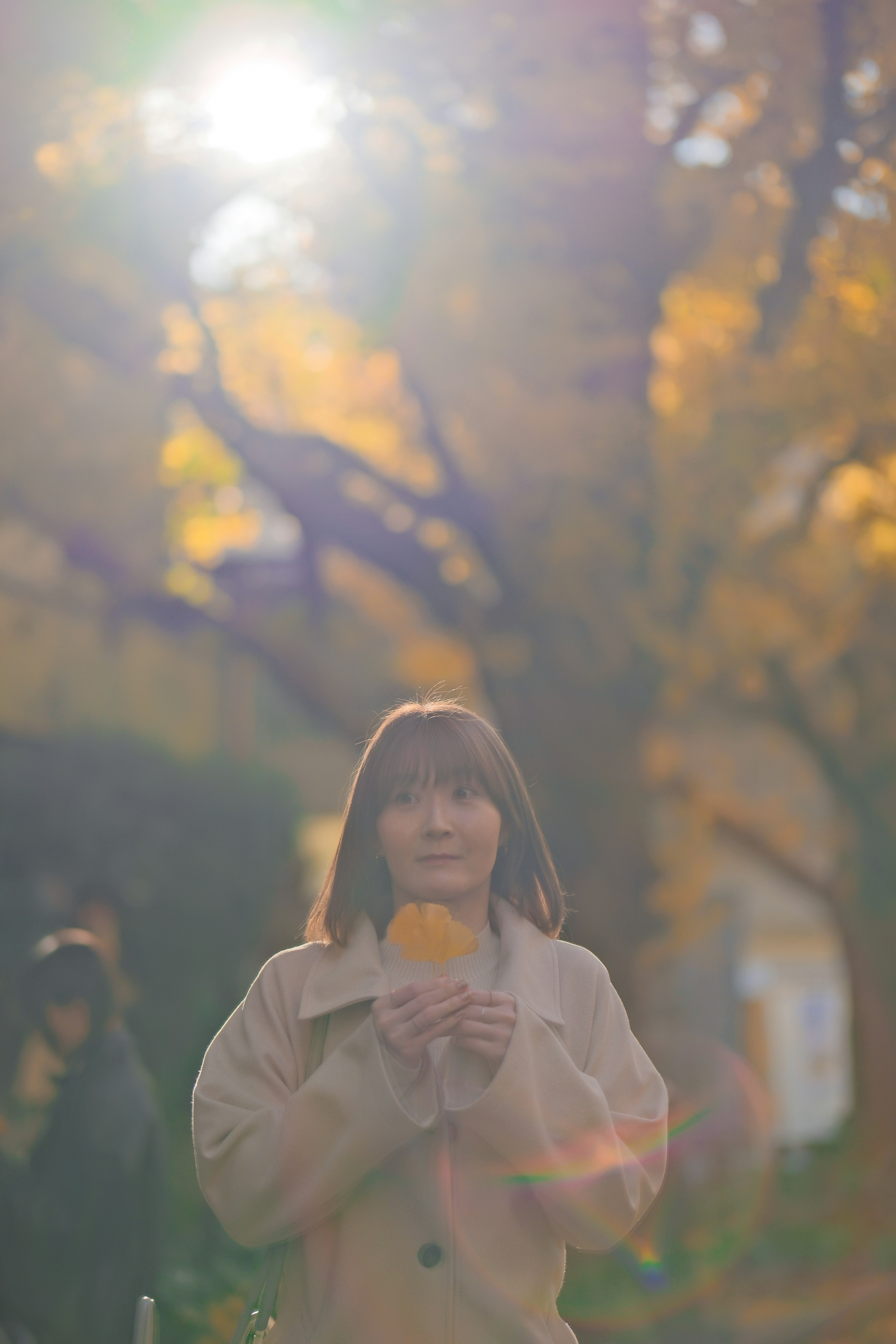 秋の公園で黄色い葉を持つ女性 日差しが差し込む背景