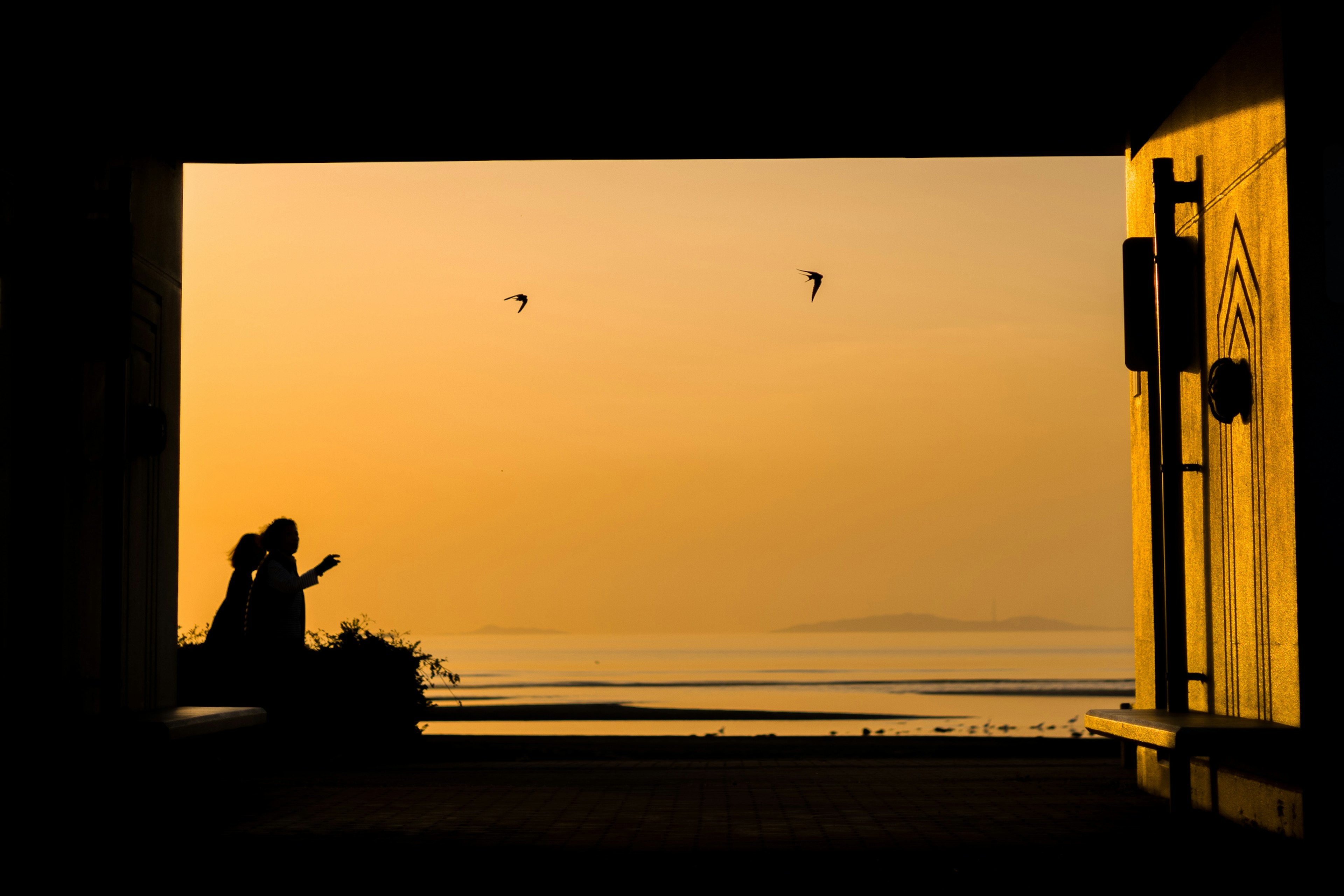 夕日を背景にしたカップルのシルエットと海の景色