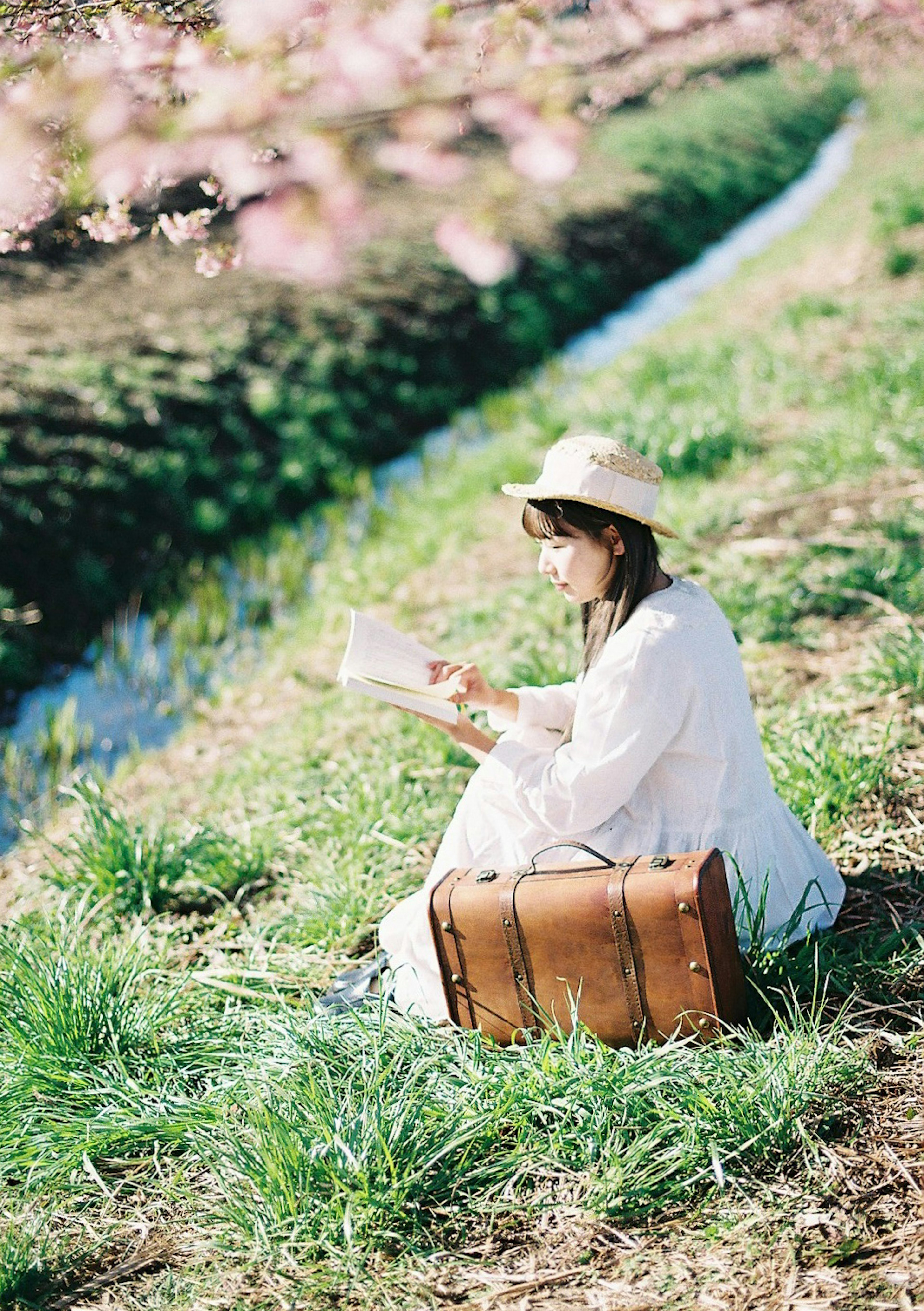 Mujer leyendo un libro junto al río con cerezos en flor