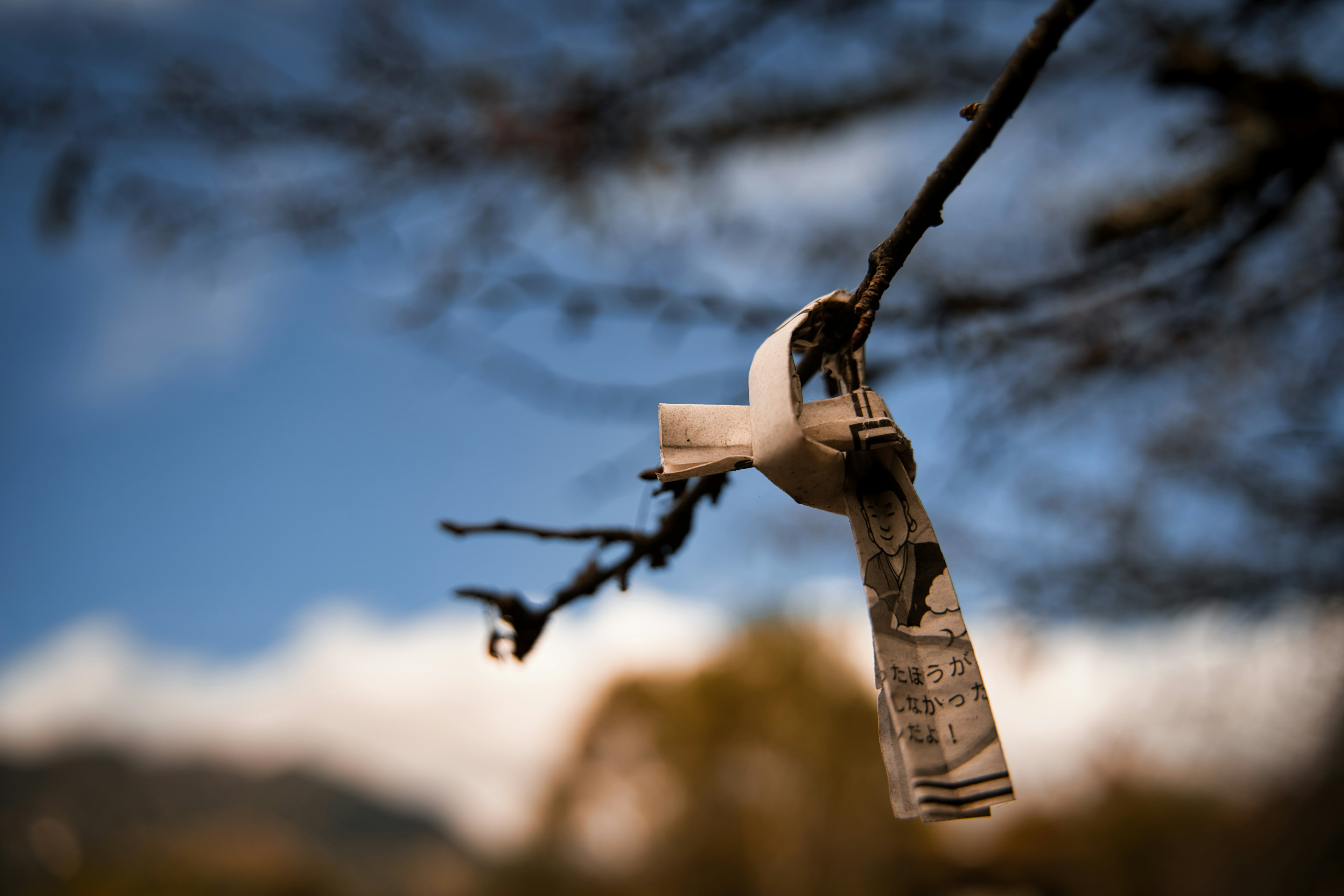 A branch hanging in the blue sky with a piece of paper attached