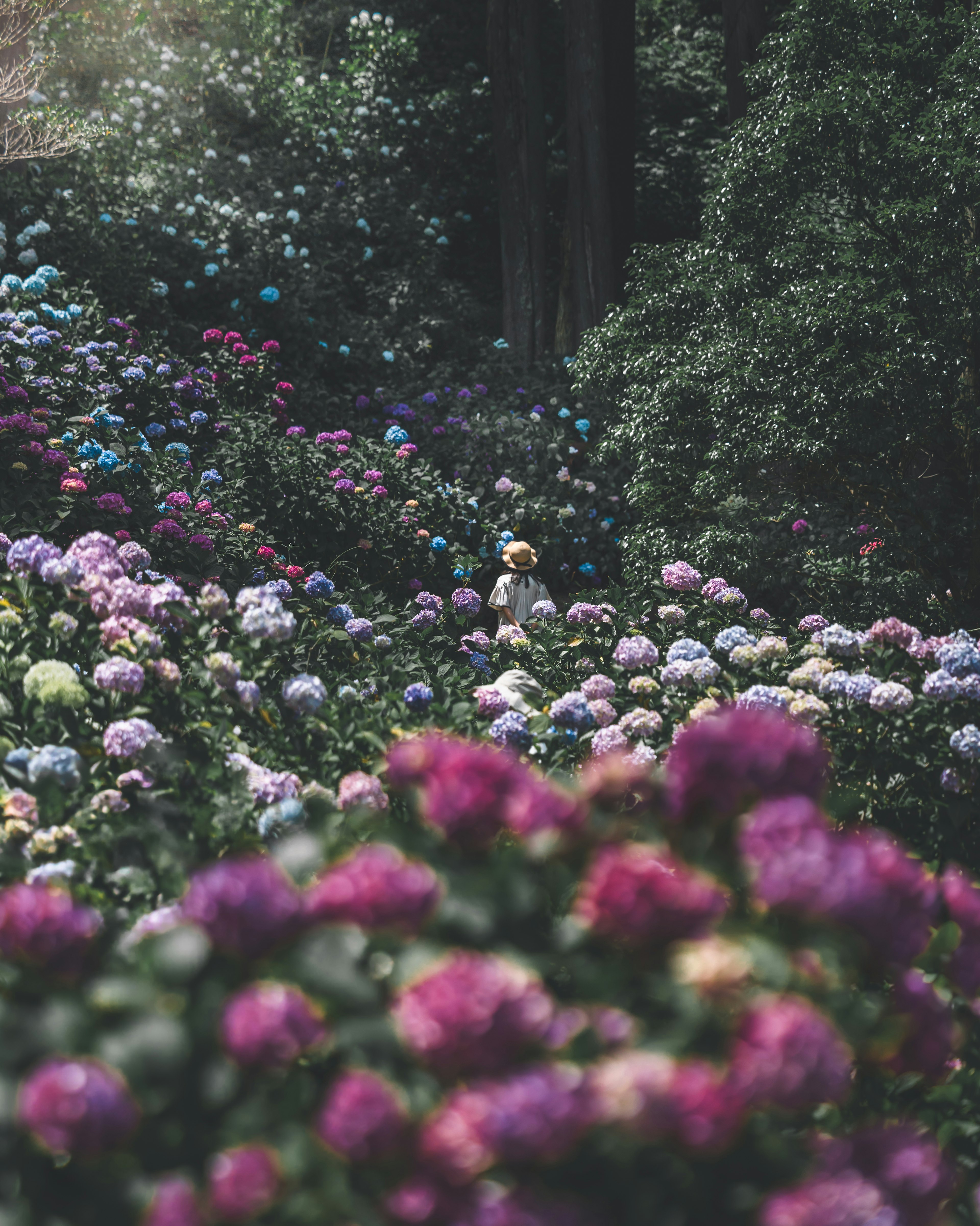 色とりどりの花が咲き誇る庭の風景