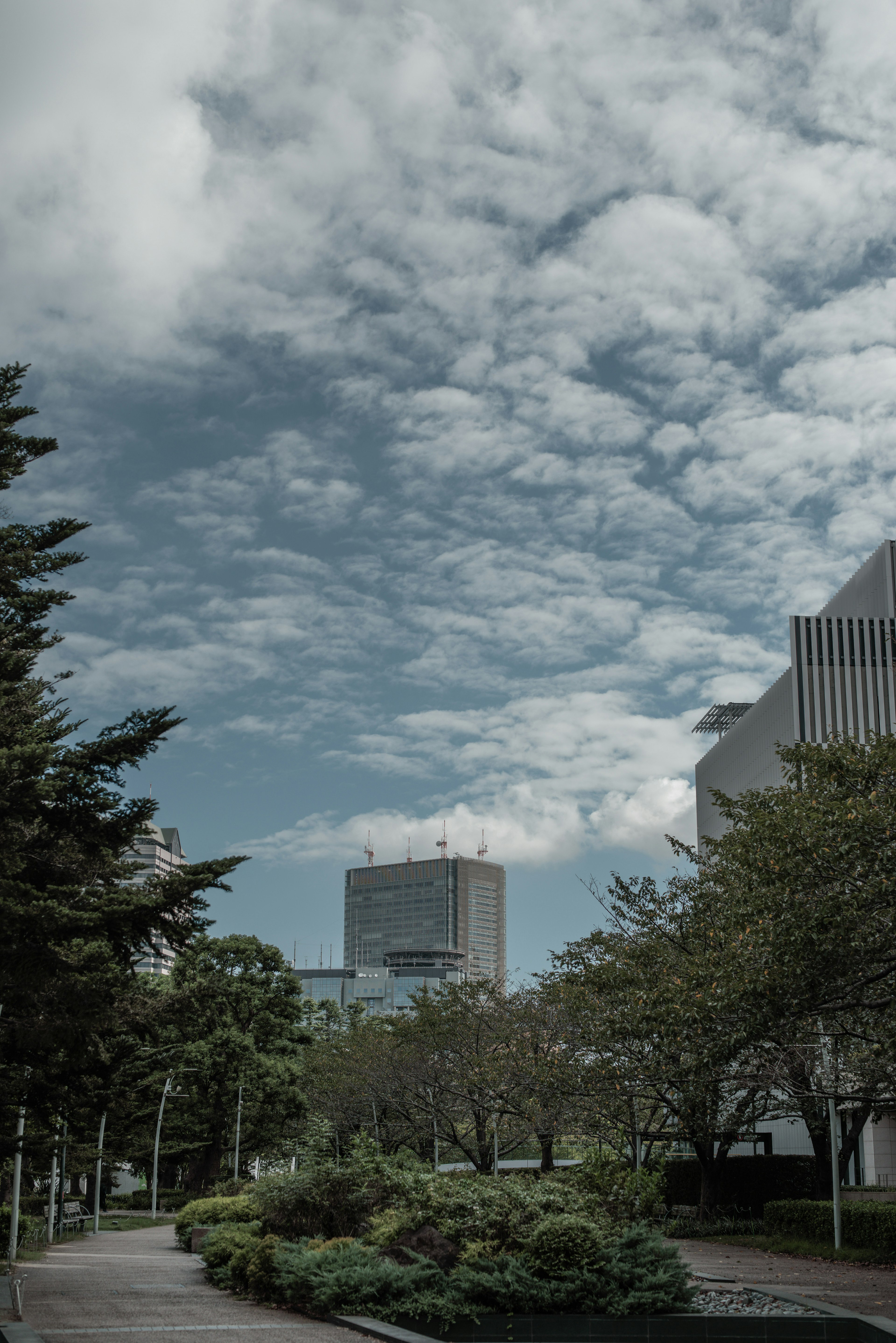 一個充滿郁郁蔥蔥綠意和多雲天空的風景