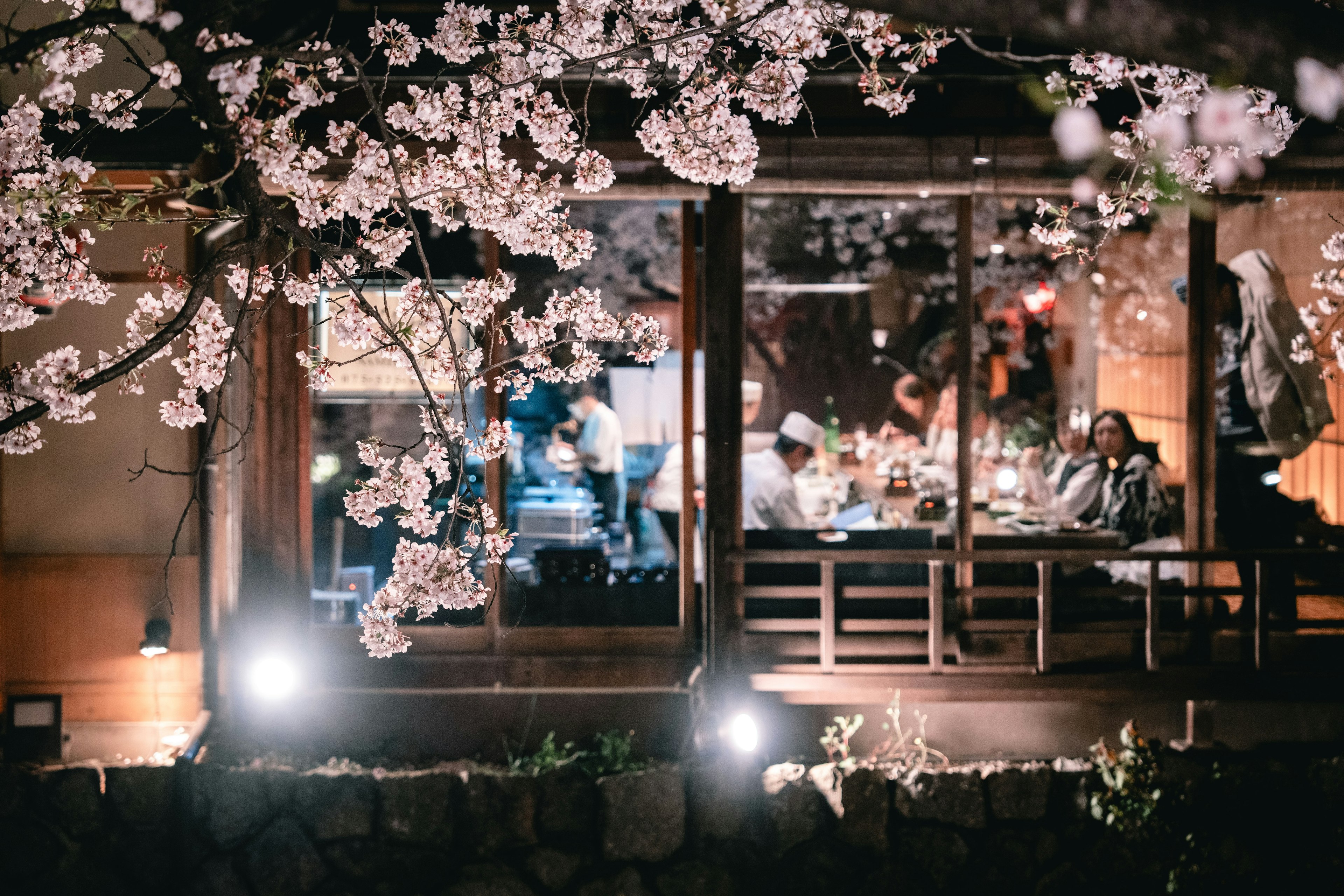 桜の花が咲く夜のレストランの外観で、店内の人々が楽しんでいる