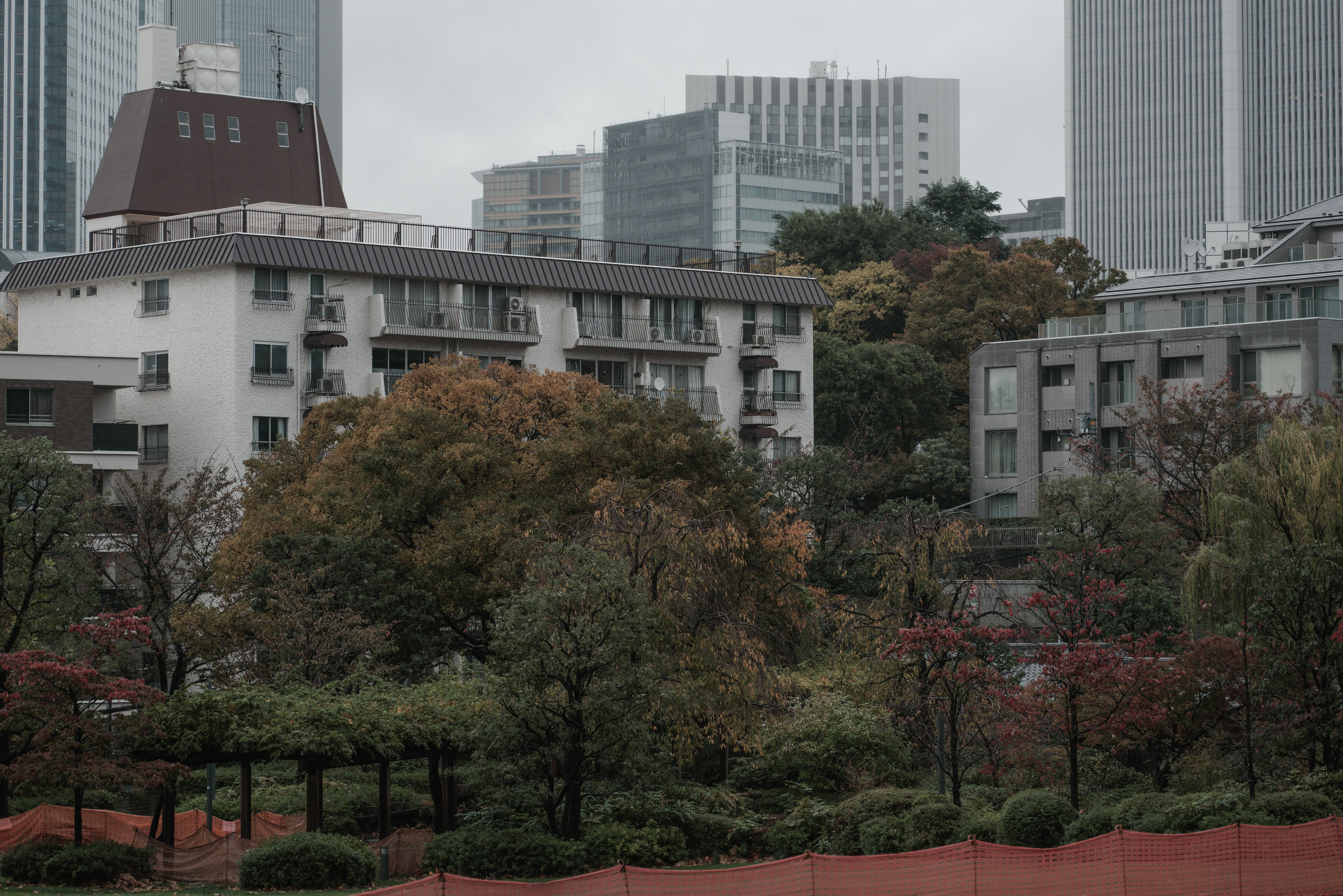 都市の中にある公園と秋の色合いの木々