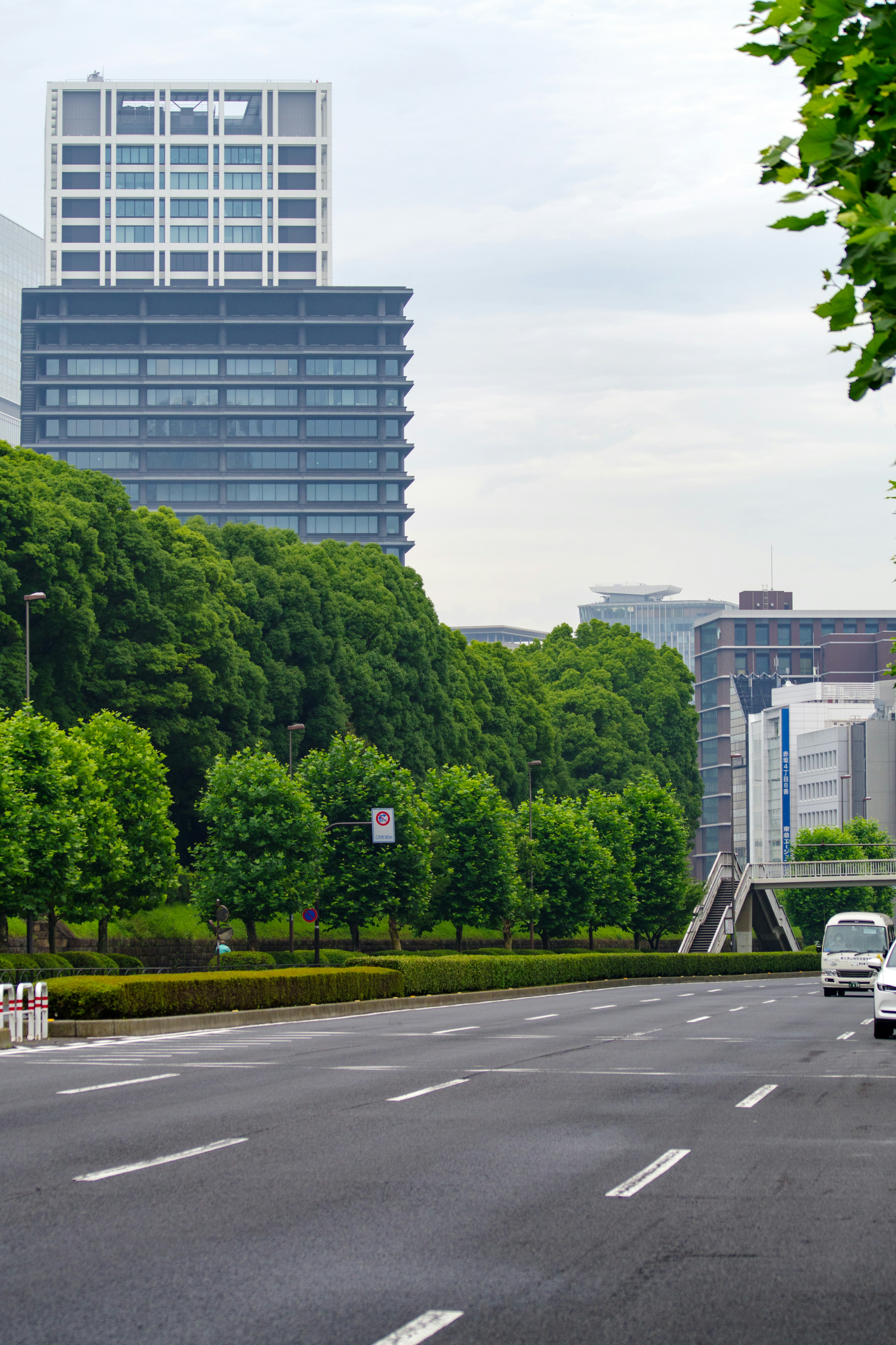 Lush tree-lined street with modern buildings