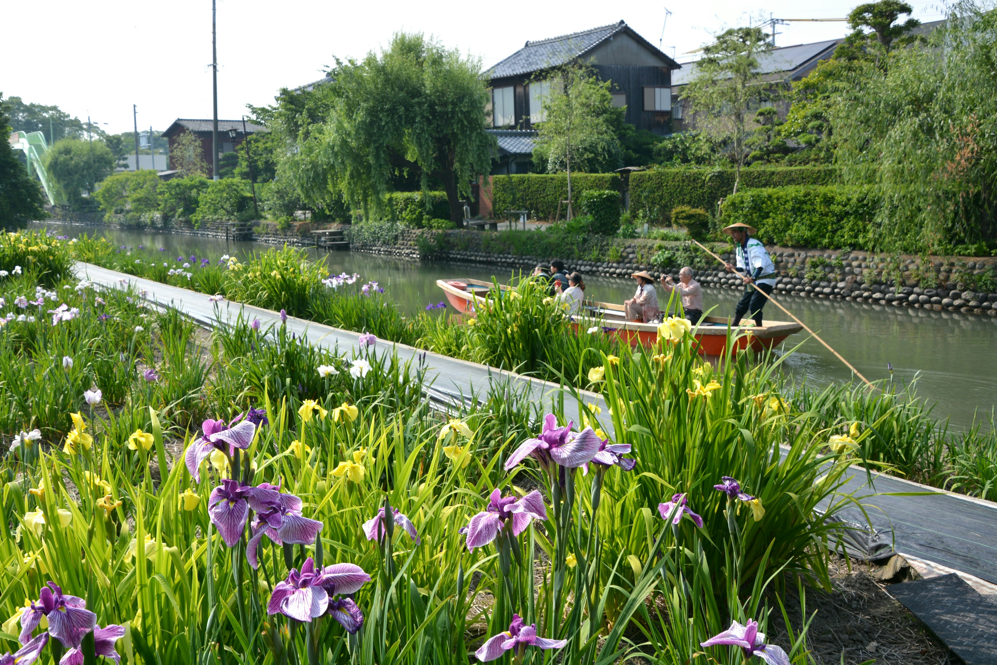 Vue pittoresque de fleurs vibrantes le long d'un canal avec des gens en train de ramer