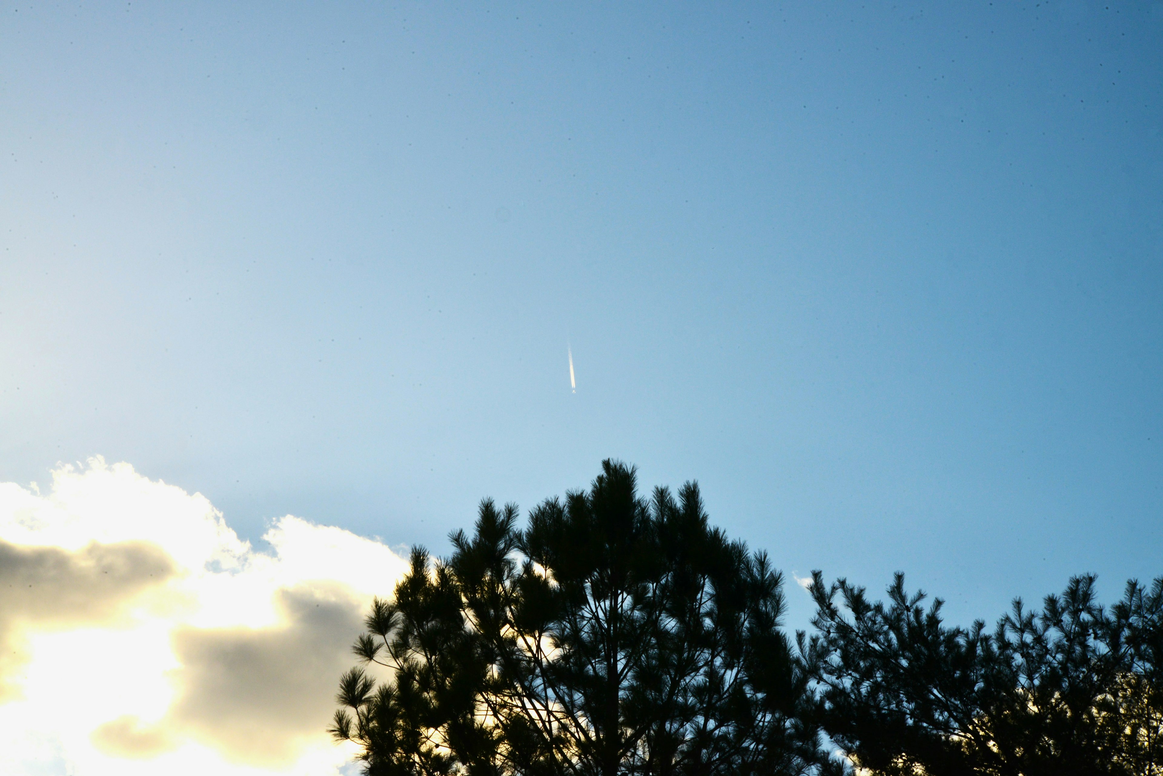 A view of the sky with clouds and tree silhouettes featuring a slender point of light