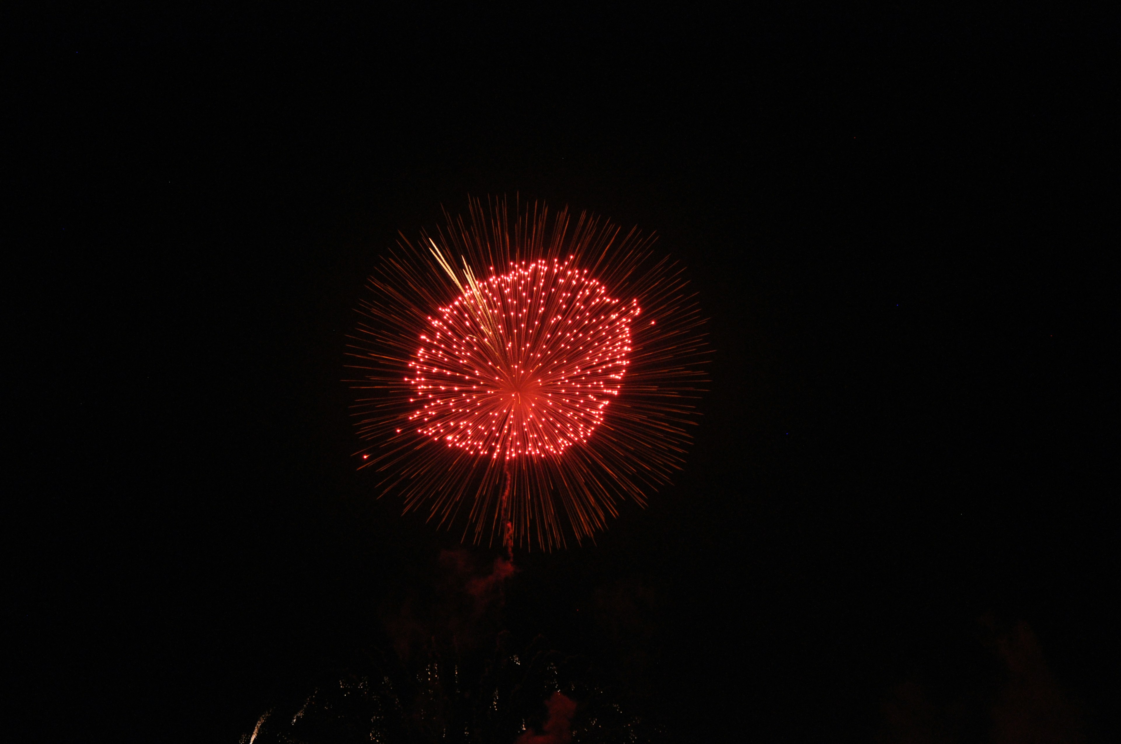 Beau moment des feux d'artifice rouges éclatant dans le ciel nocturne