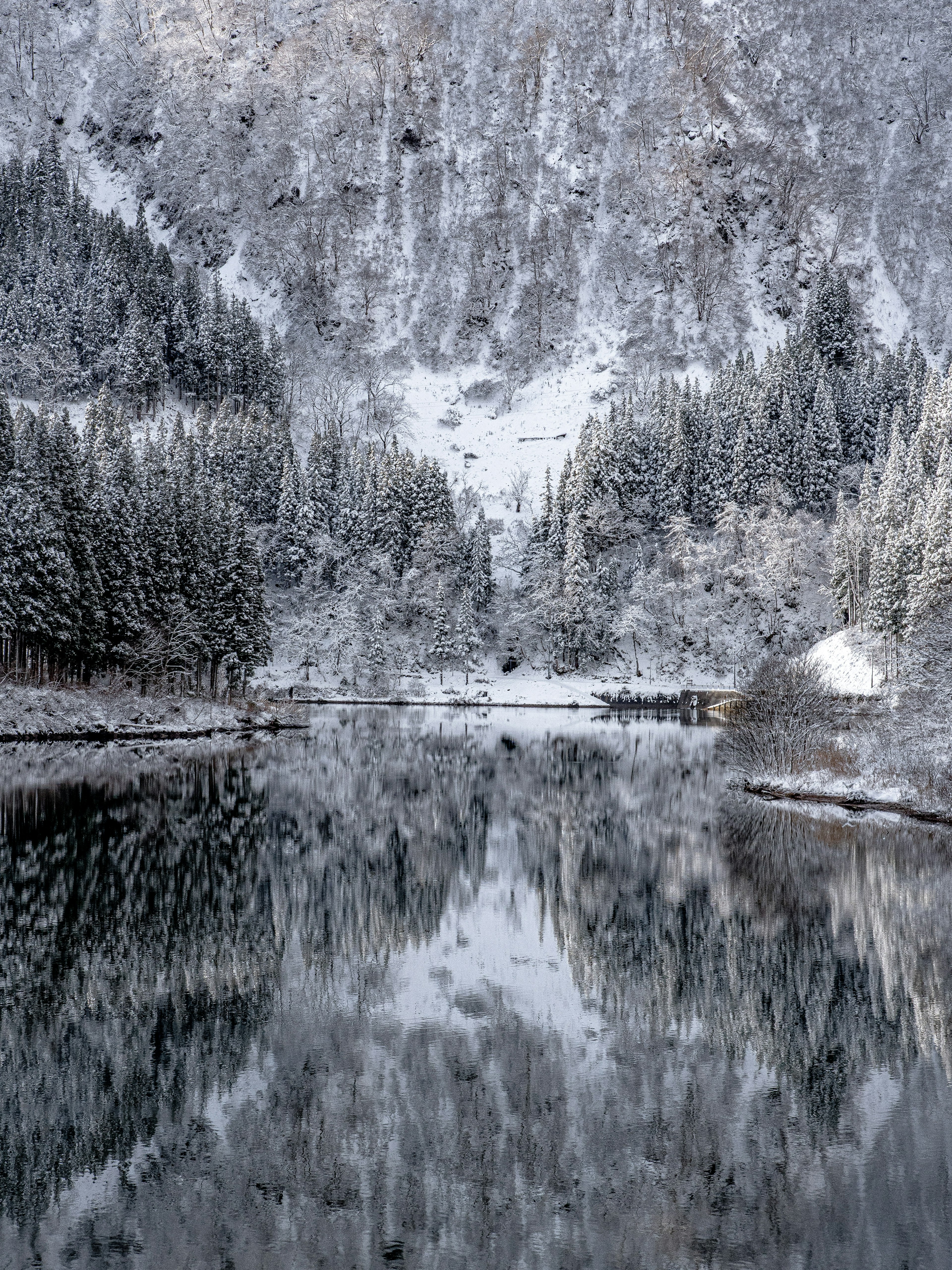 Vista panoramica di un lago che riflette montagne e foreste innevate