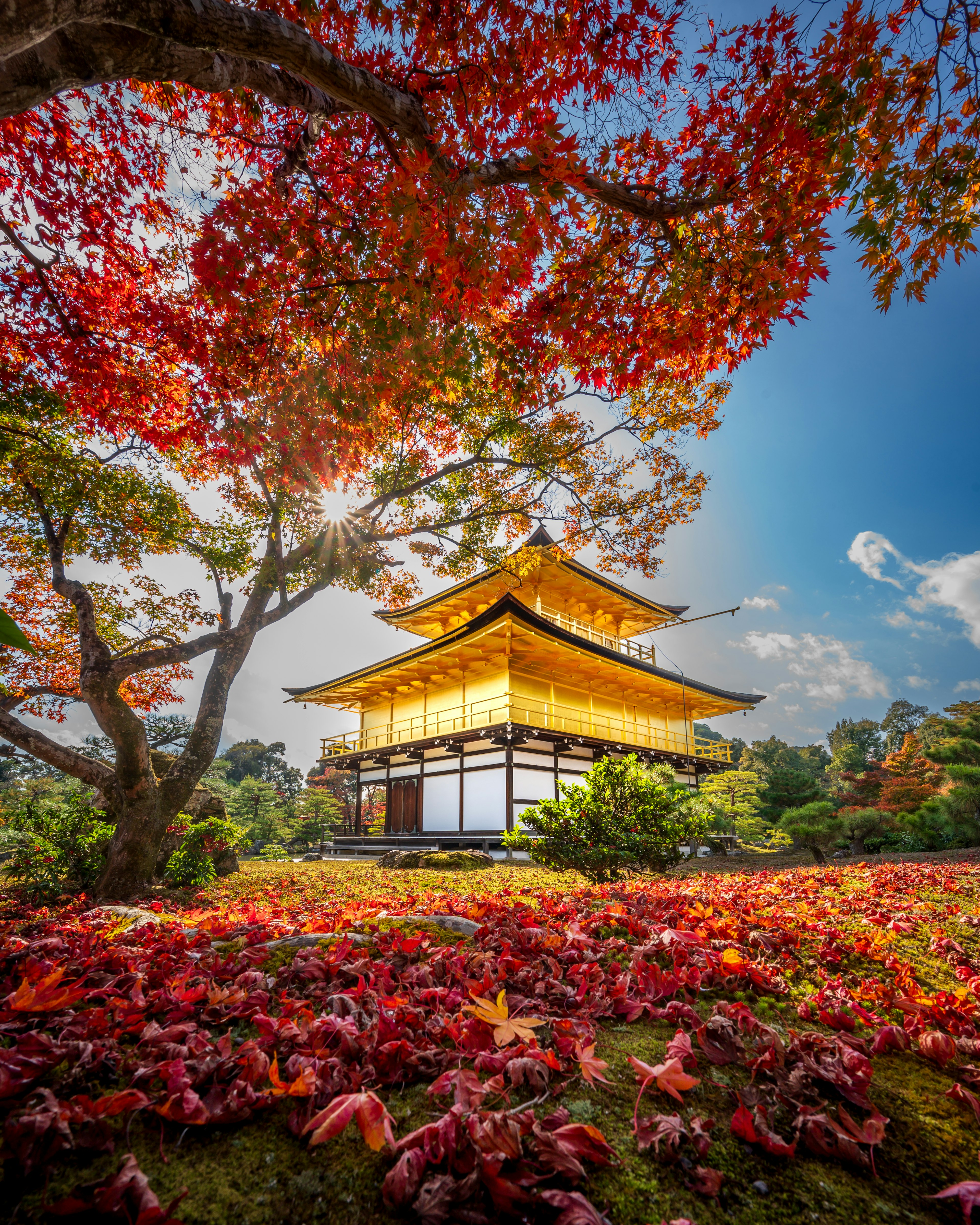 Kuil Kinkaku-ji dikelilingi oleh dedaunan musim gugur yang cerah