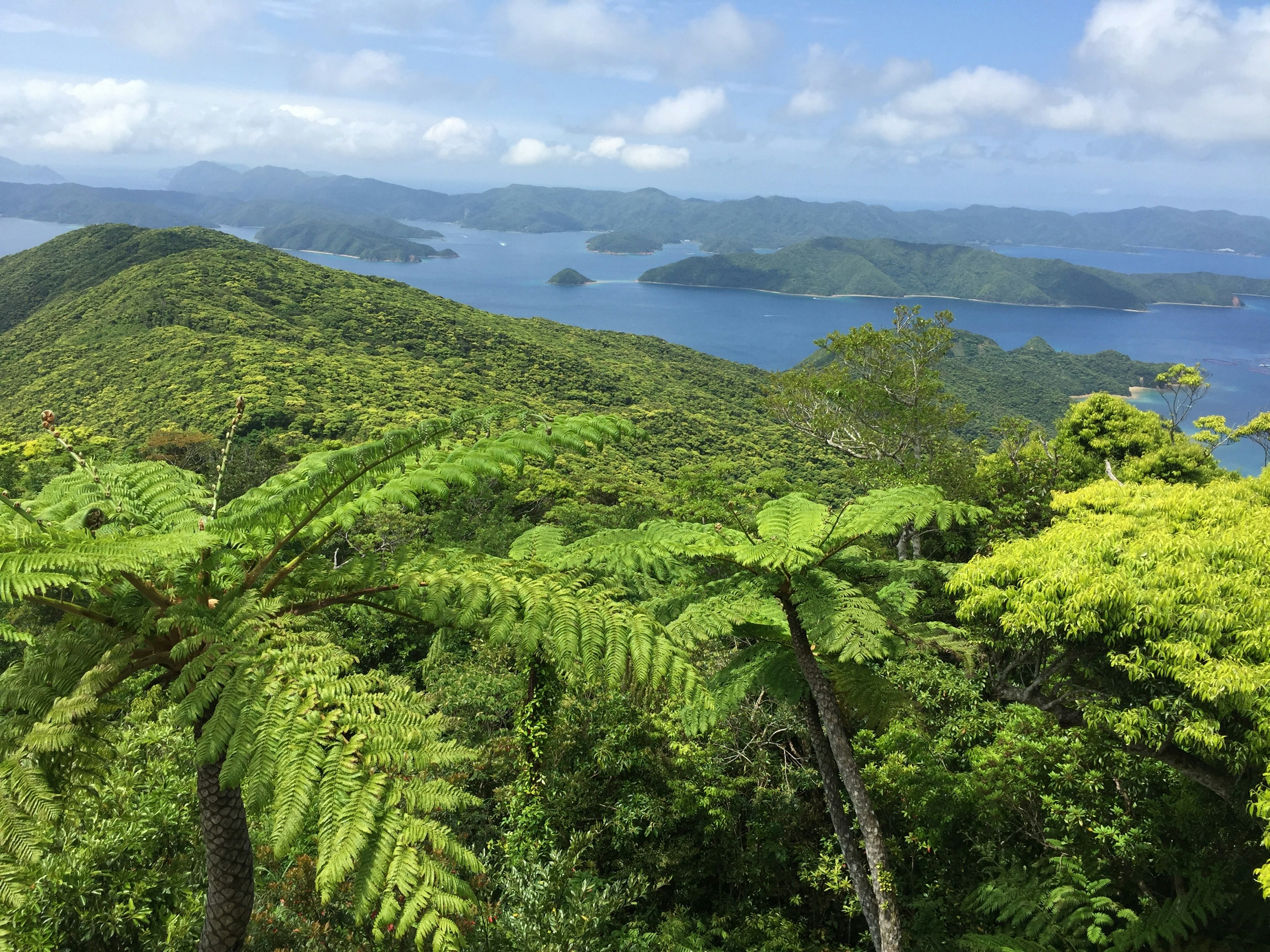 緑豊かな山々と青い海のパノラマ風景を示す画像