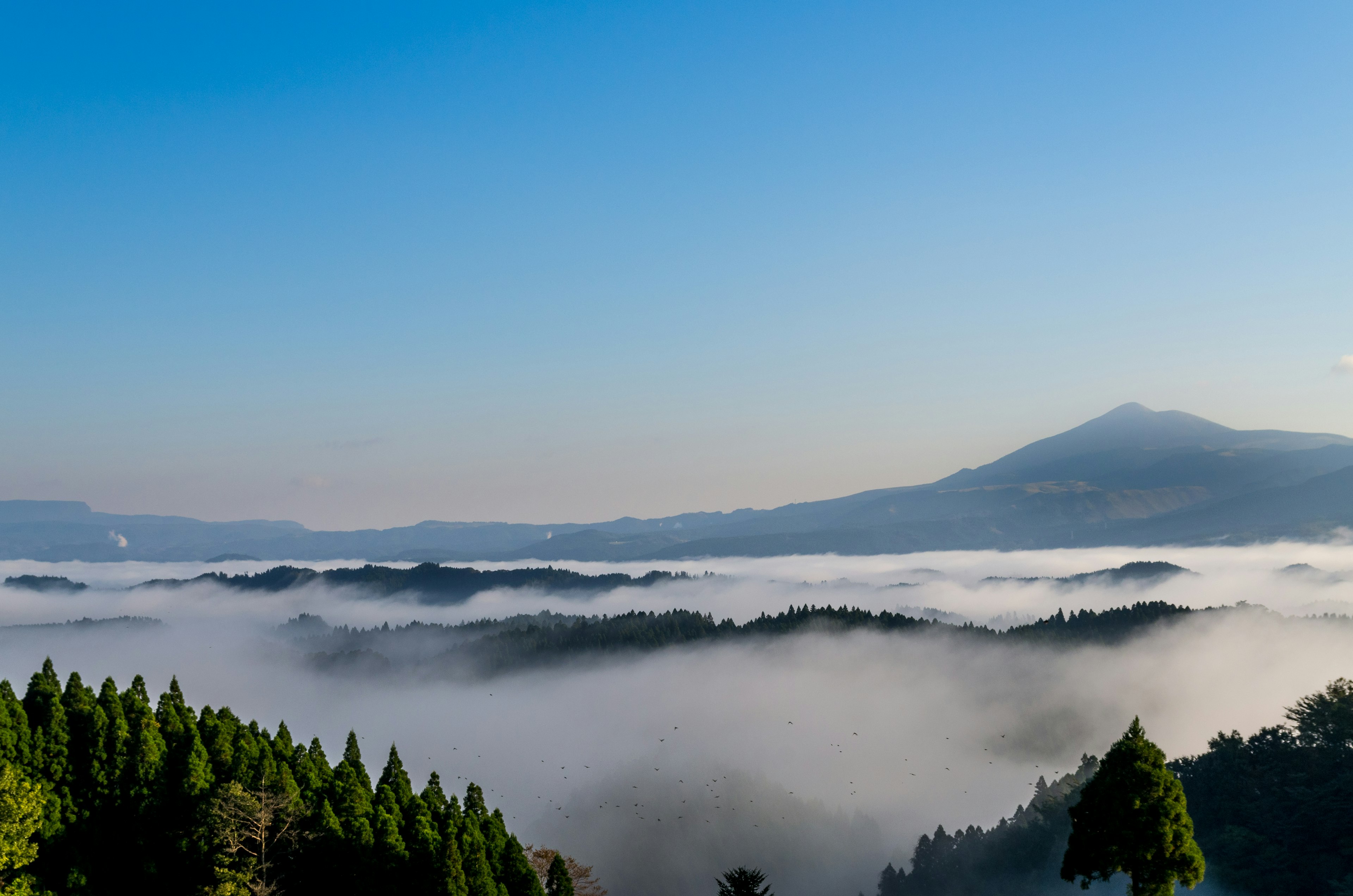 Vista panoramica di montagne e foreste avvolte nella nebbia sotto un cielo blu