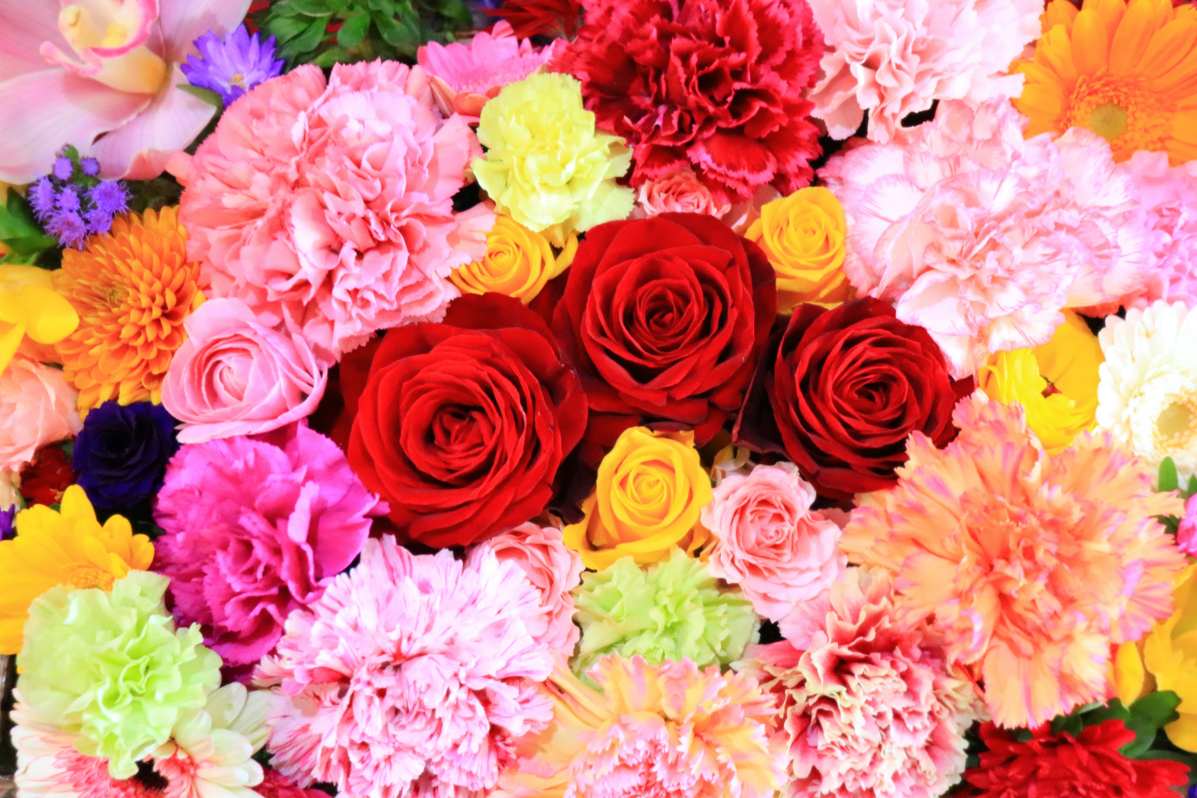 A vibrant arrangement of various colorful flowers including red roses and pink carnations