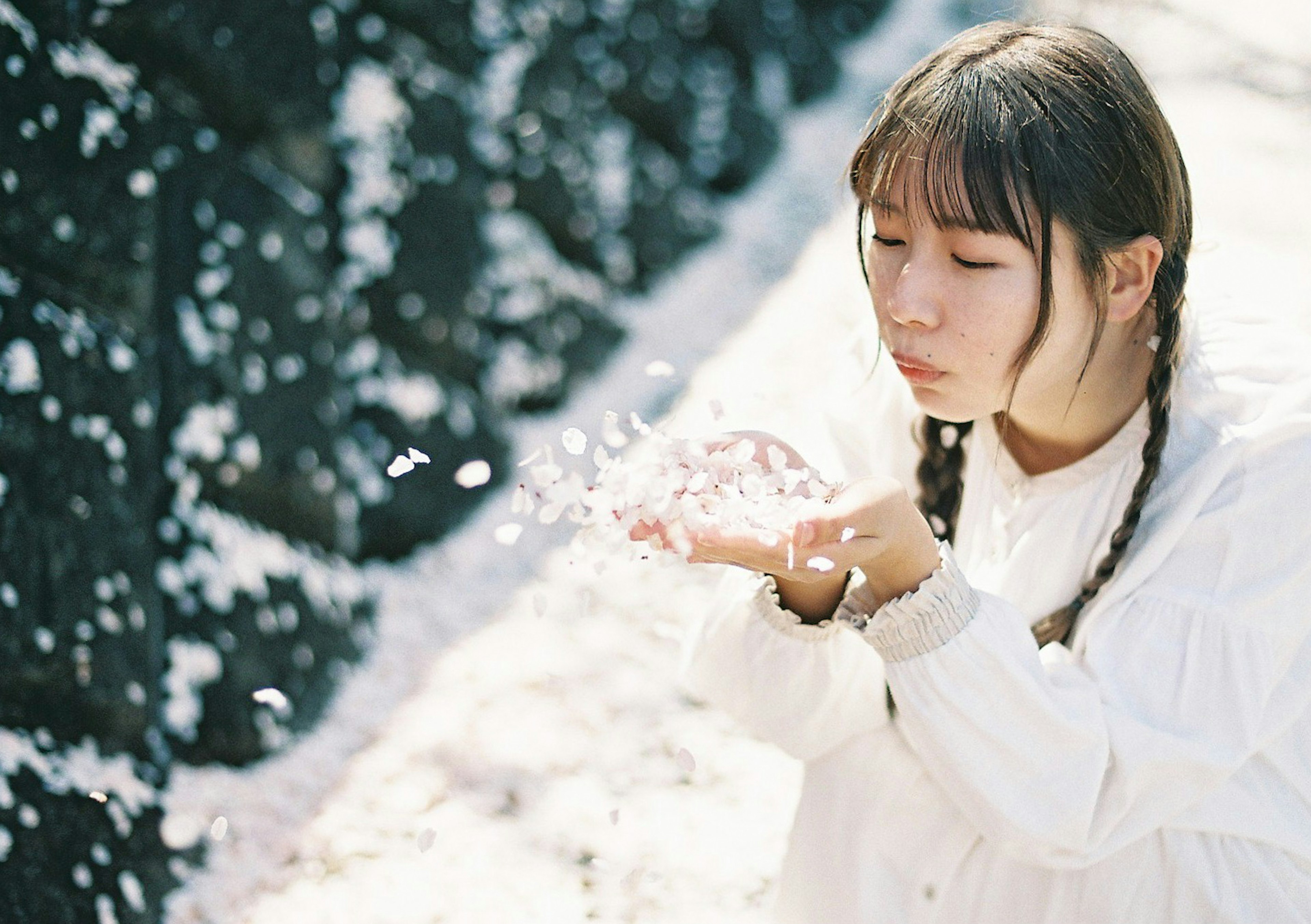 少女が桜の花びらを吹きかけているシーン