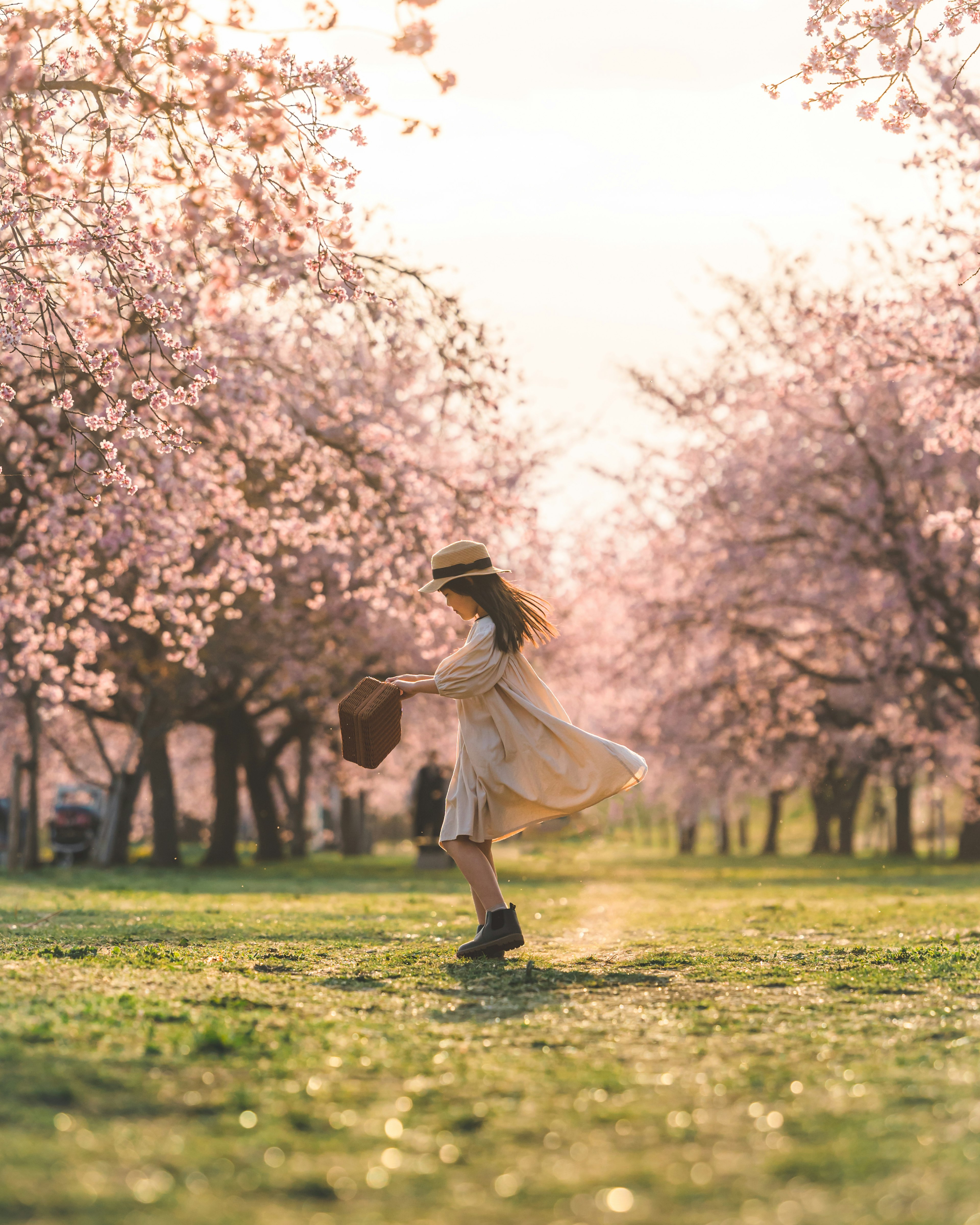 A girl twirling in a field of cherry blossom trees