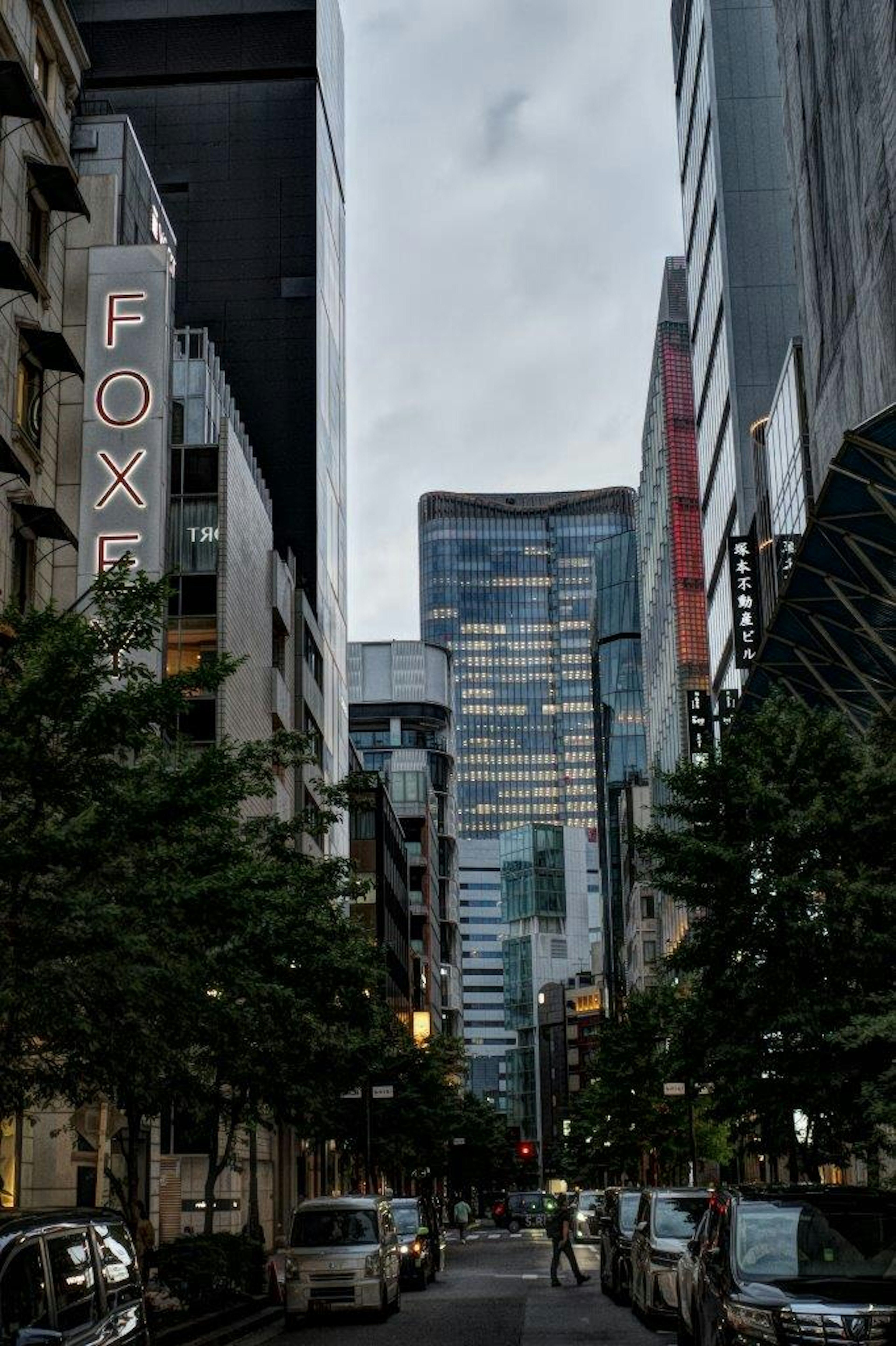 城市街道，高楼大厦和树木在阴暗的天空下