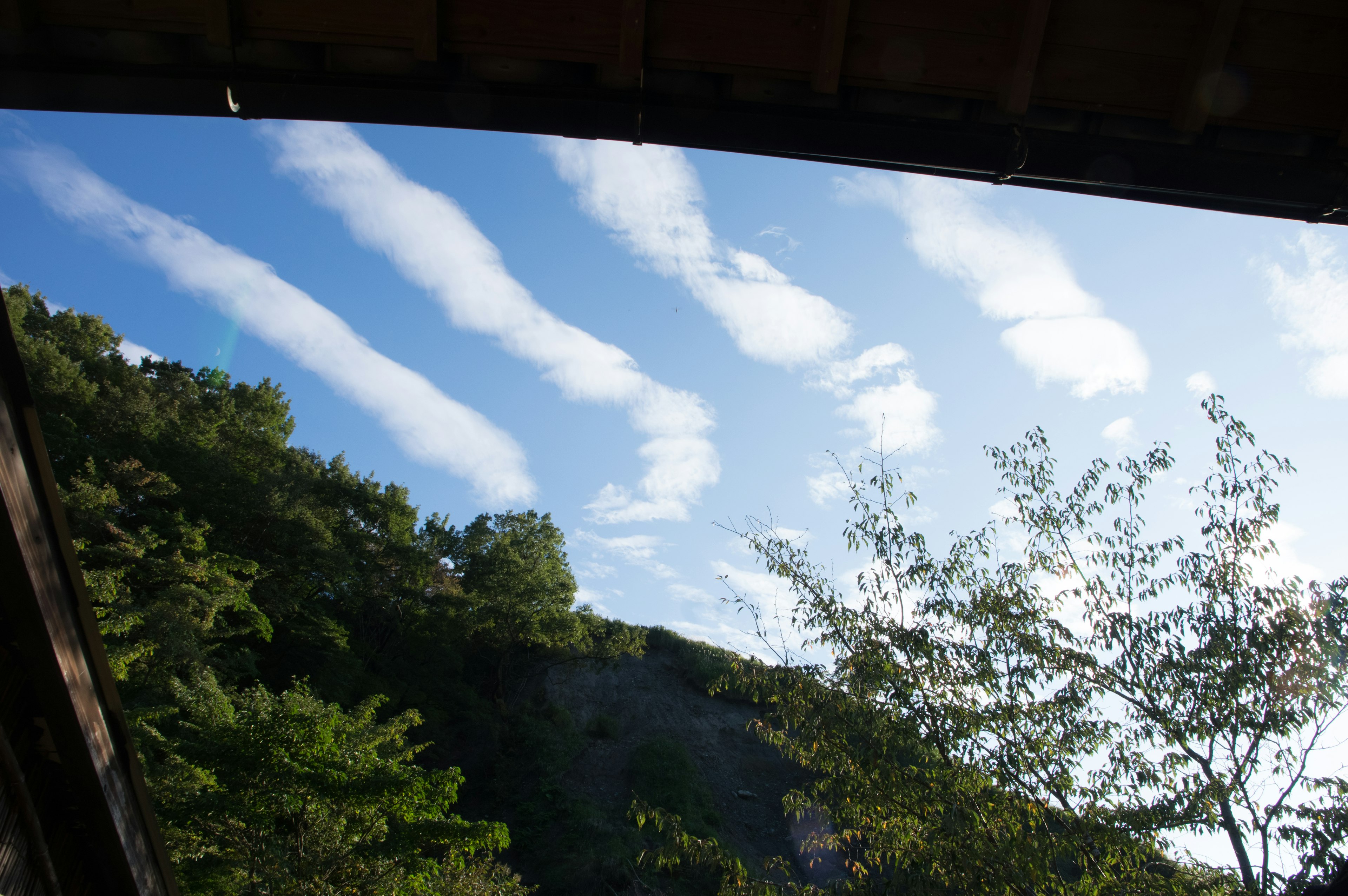 White clouds in a blue sky with green trees in the foreground