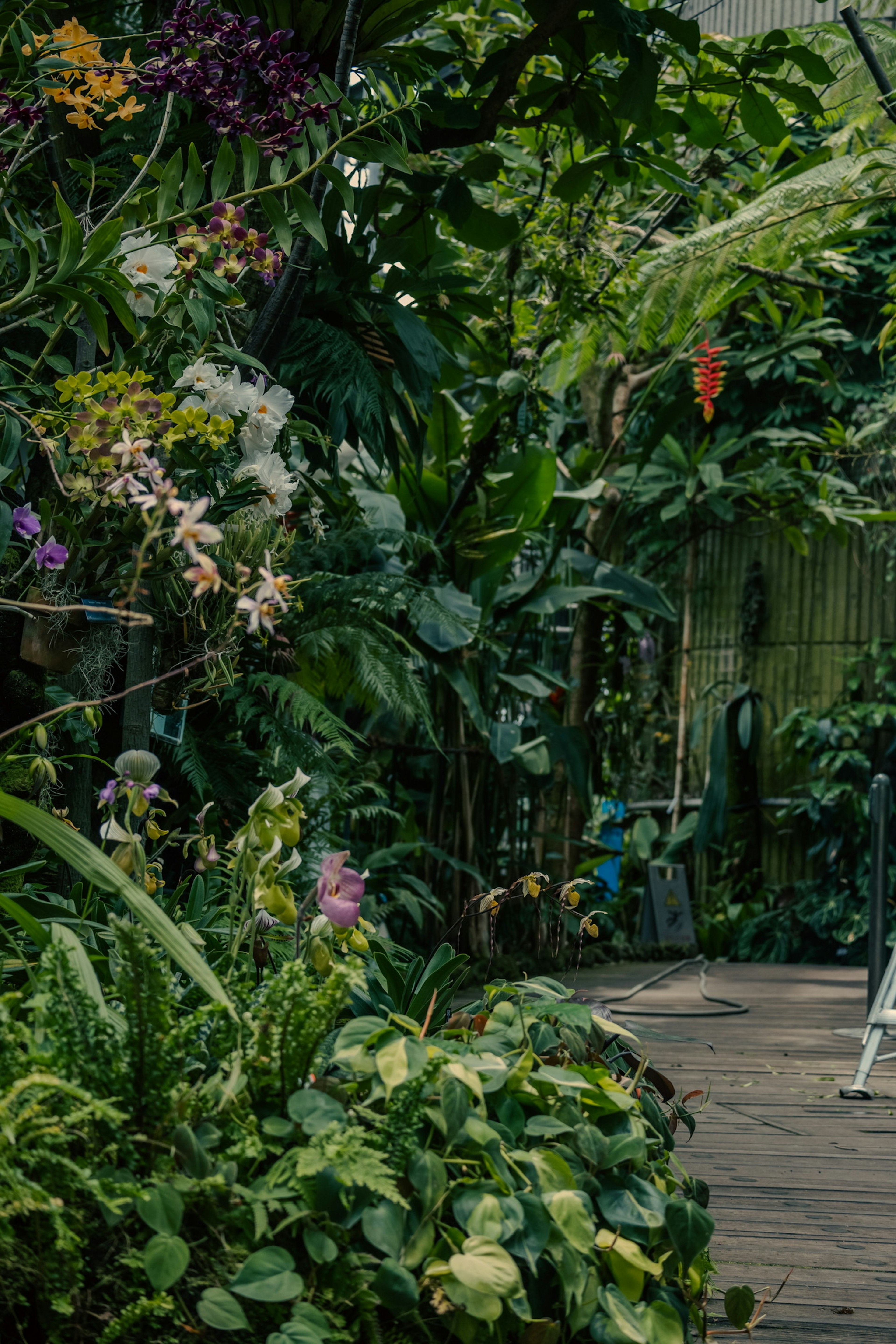 Végétation luxuriante avec des fleurs colorées le long d'un chemin de jardin