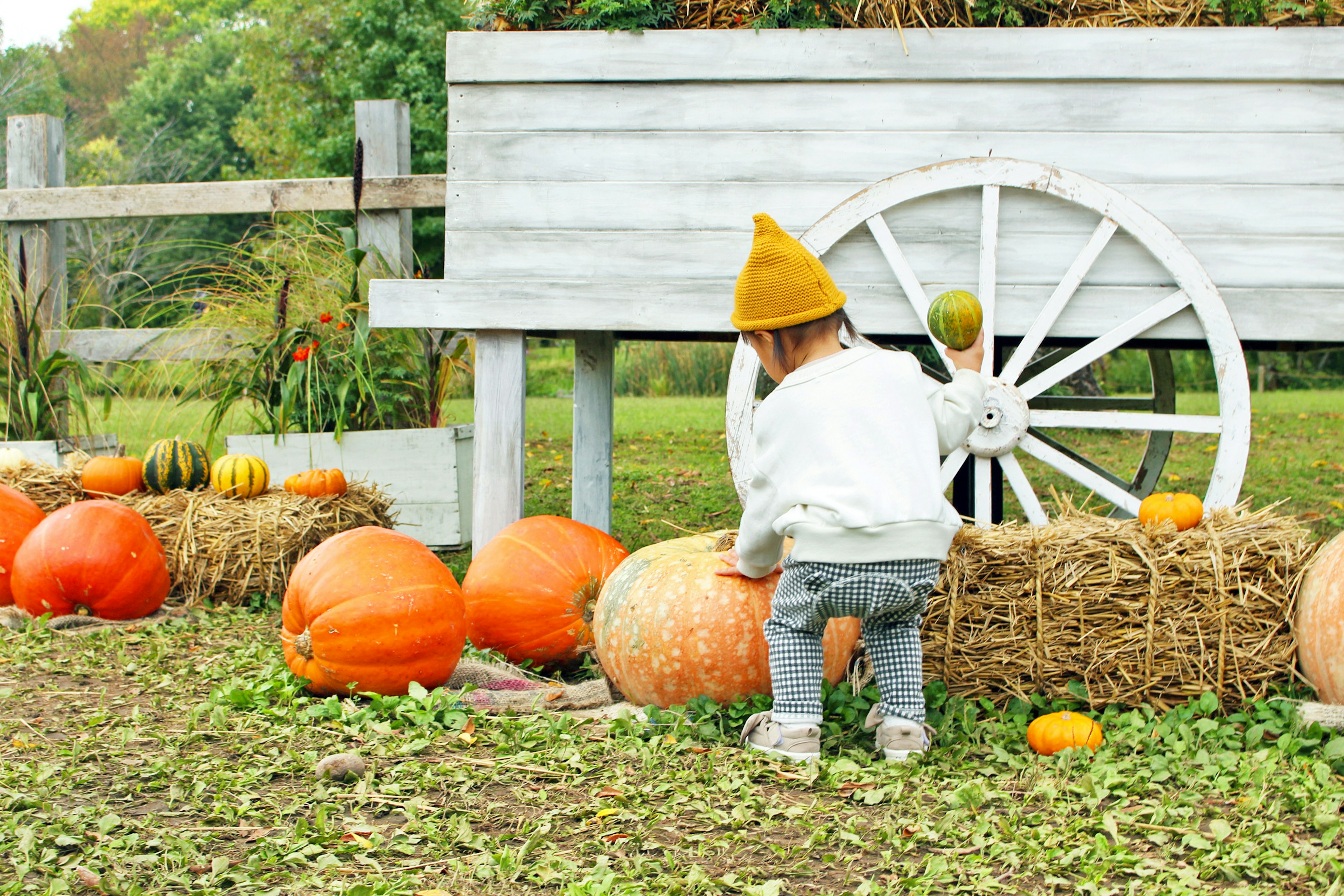 Niño jugando cerca de calabazas en un entorno otoñal