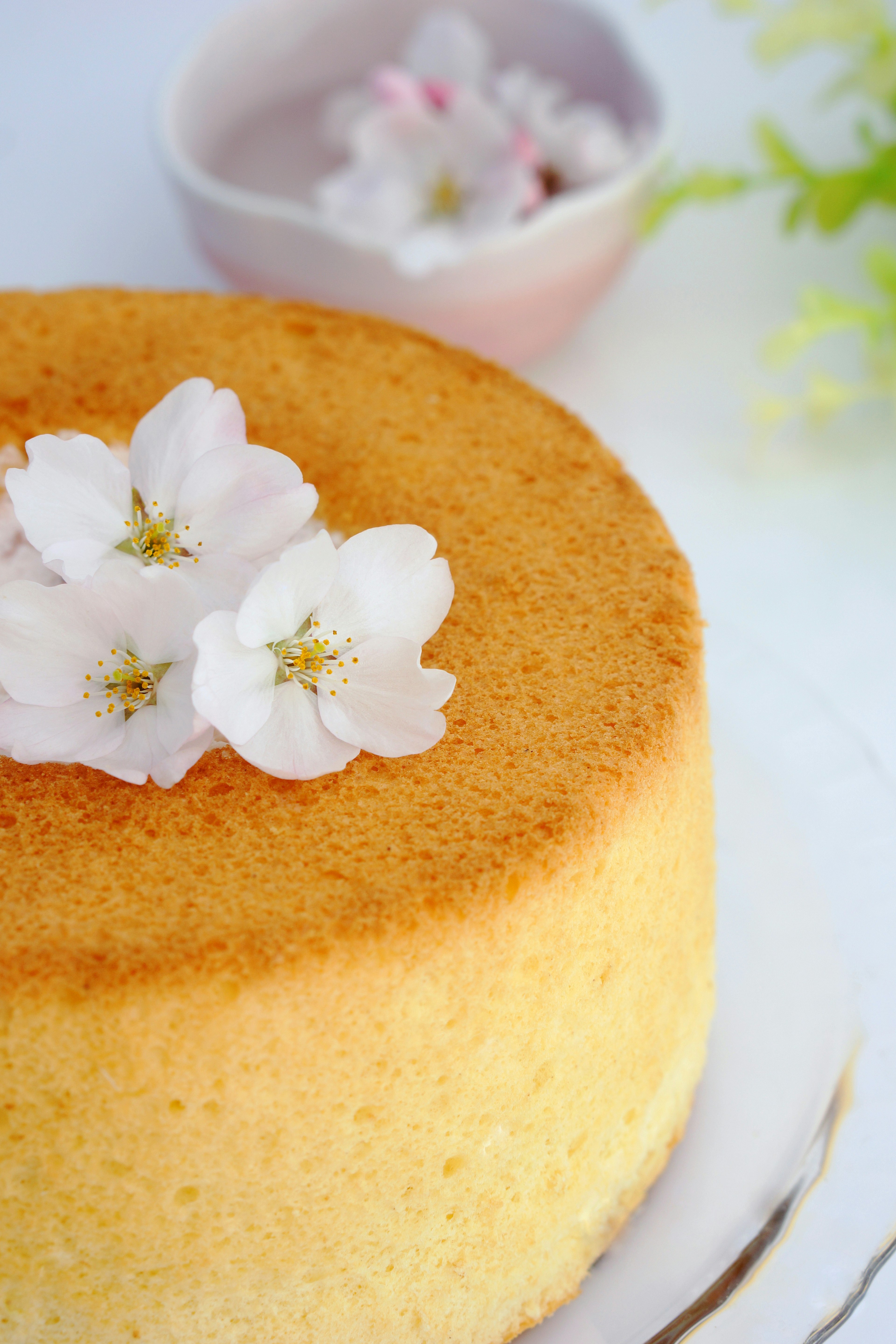 桜の花が飾られたふわふわのスポンジケーキ