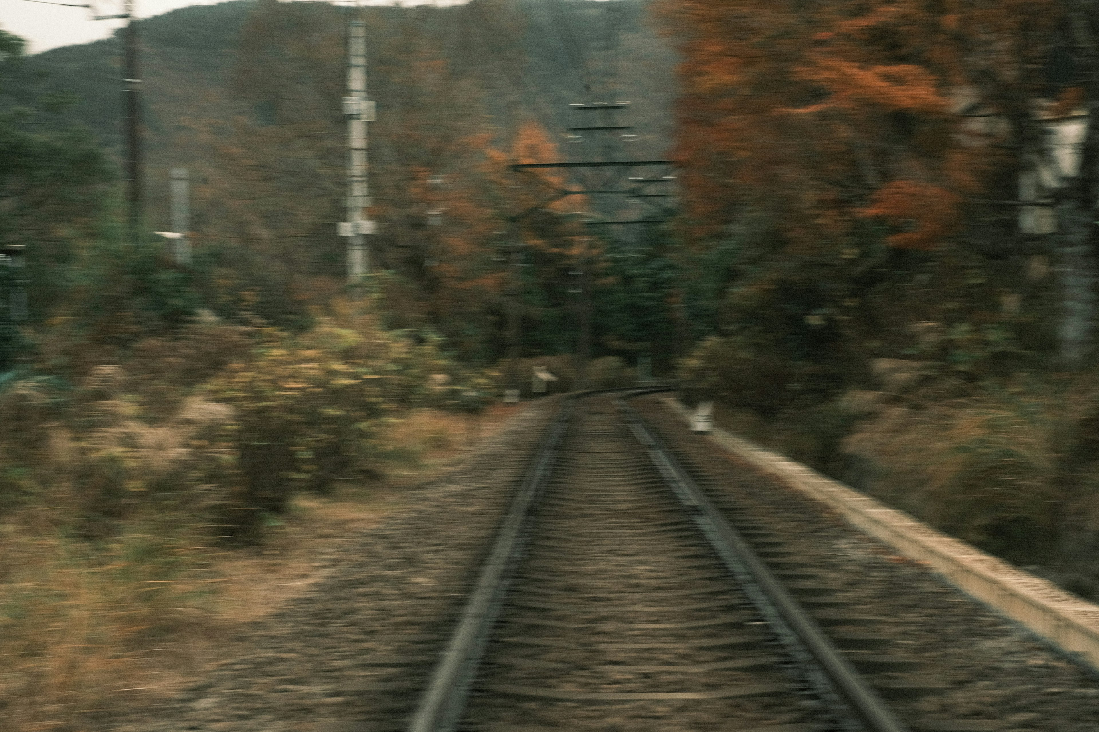 被秋天的樹葉和遠處山脈包圍的火車軌道