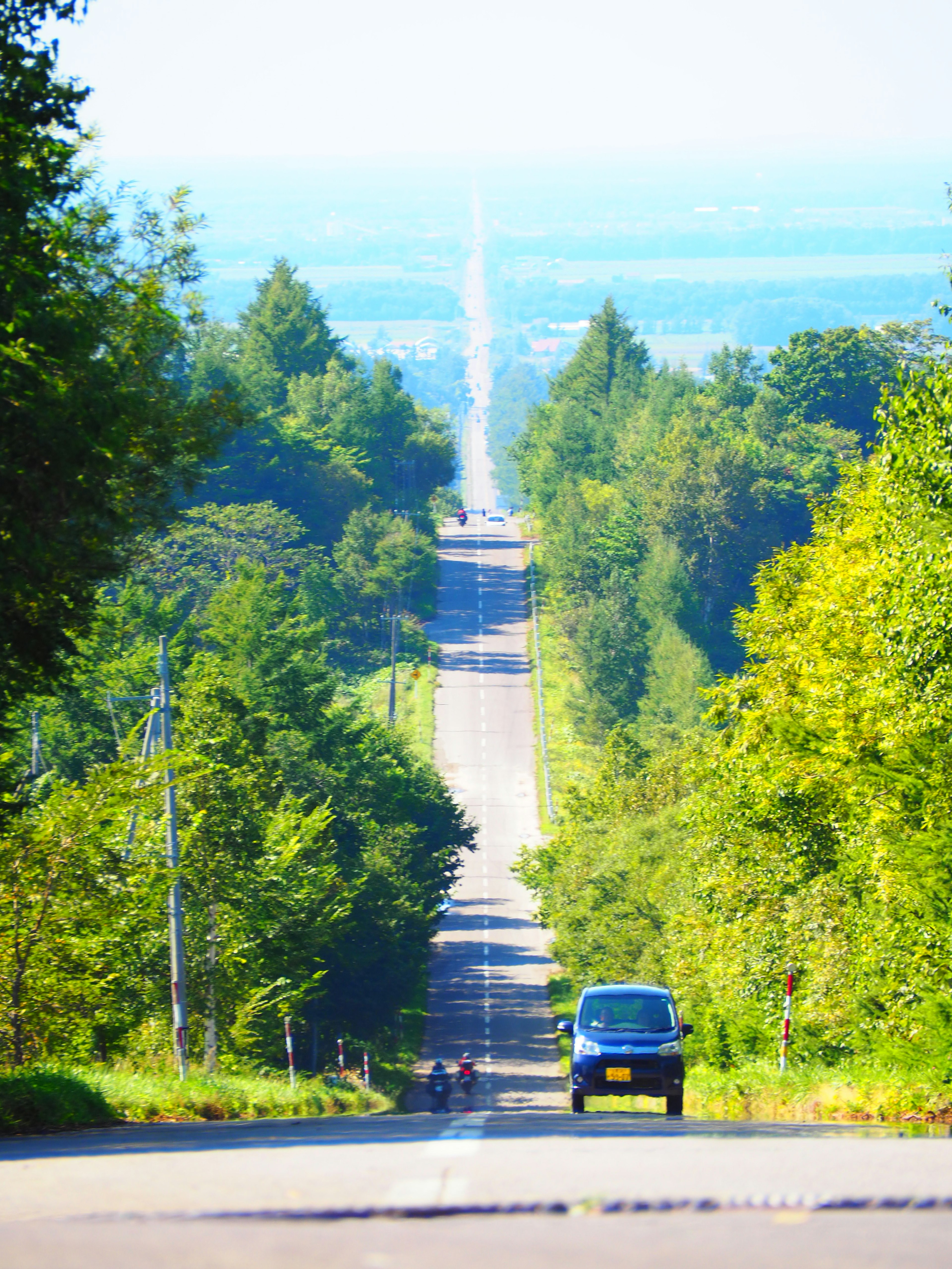 Scenic view of a long straight road surrounded by green trees