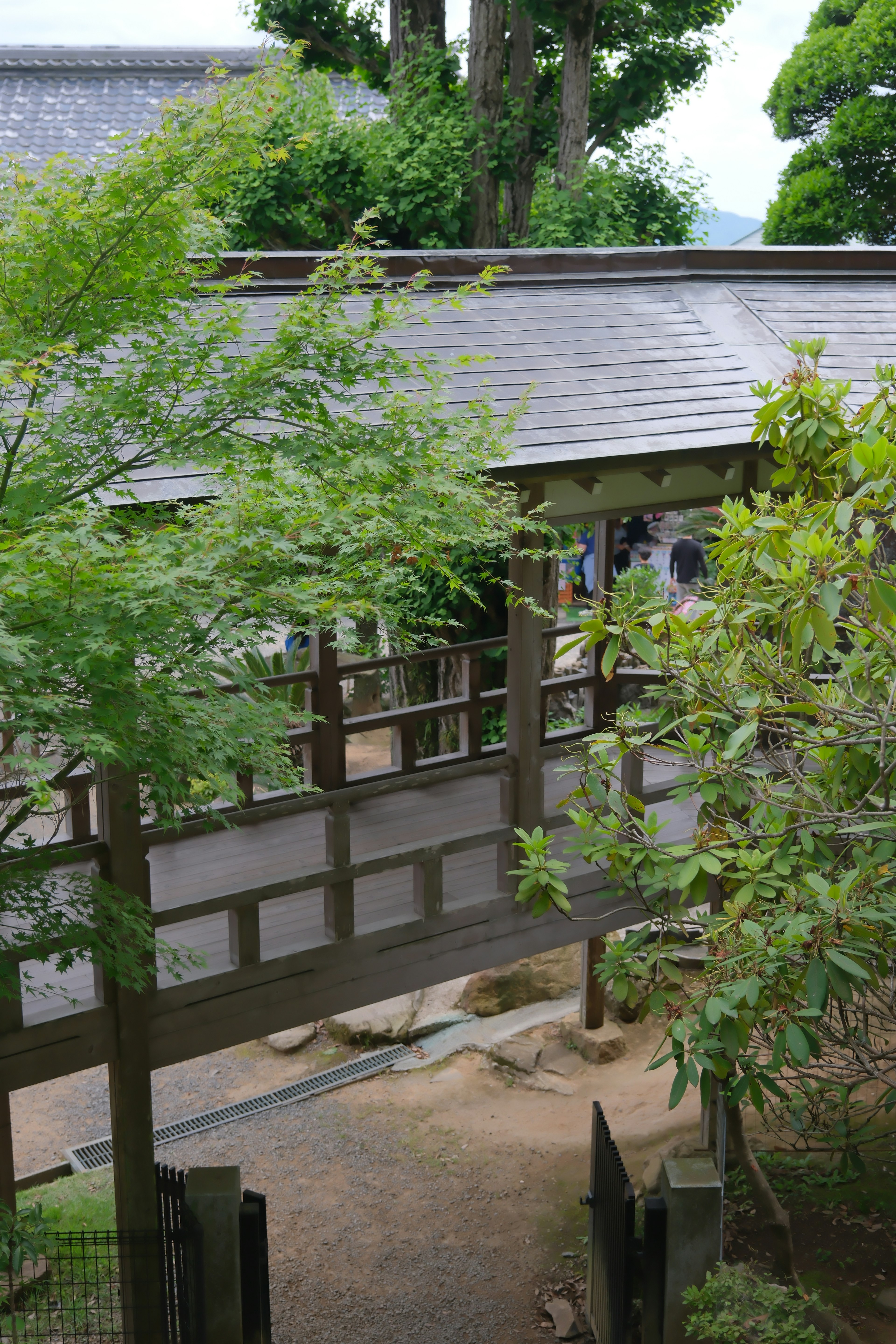 Edificio japonés tradicional rodeado de vegetación exuberante