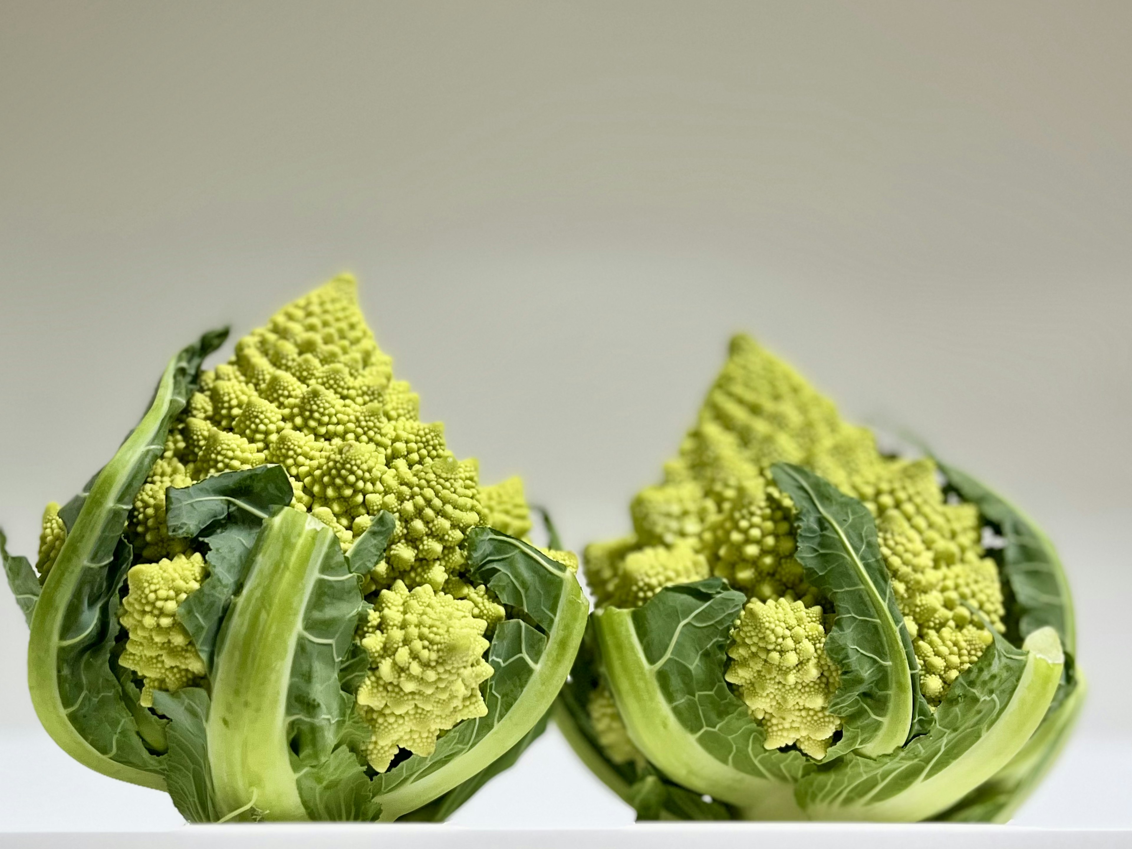 Deux choux romanesco présentant des motifs verts complexes